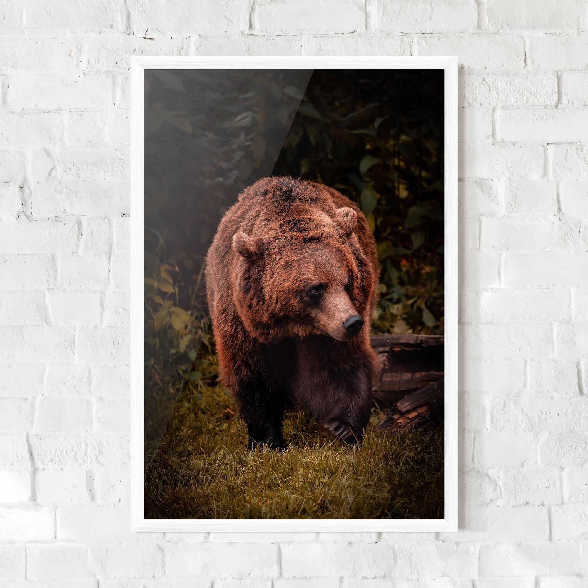 Brown Bear mockup 0
