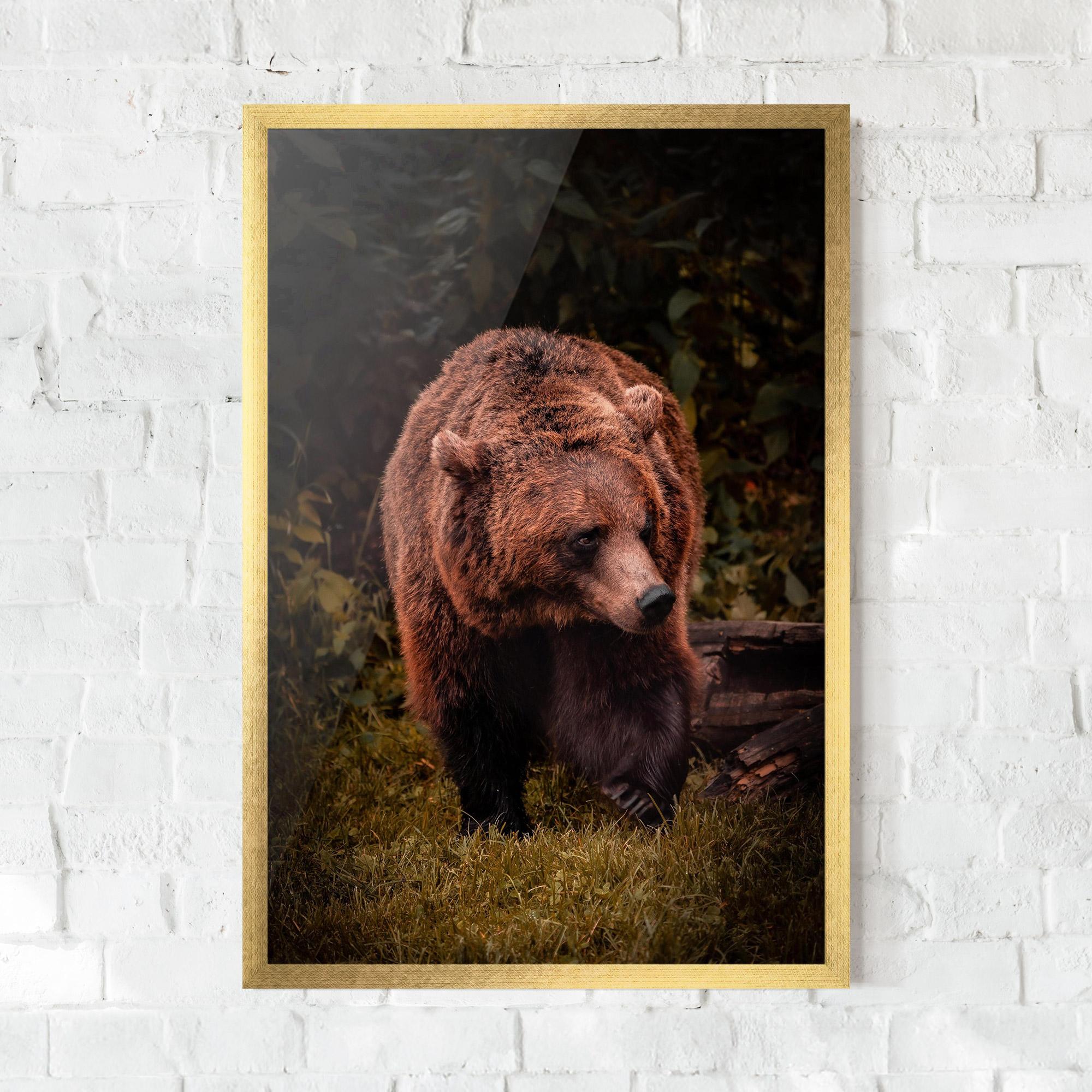 Keretezett Poszter Brown Bear mockup 0