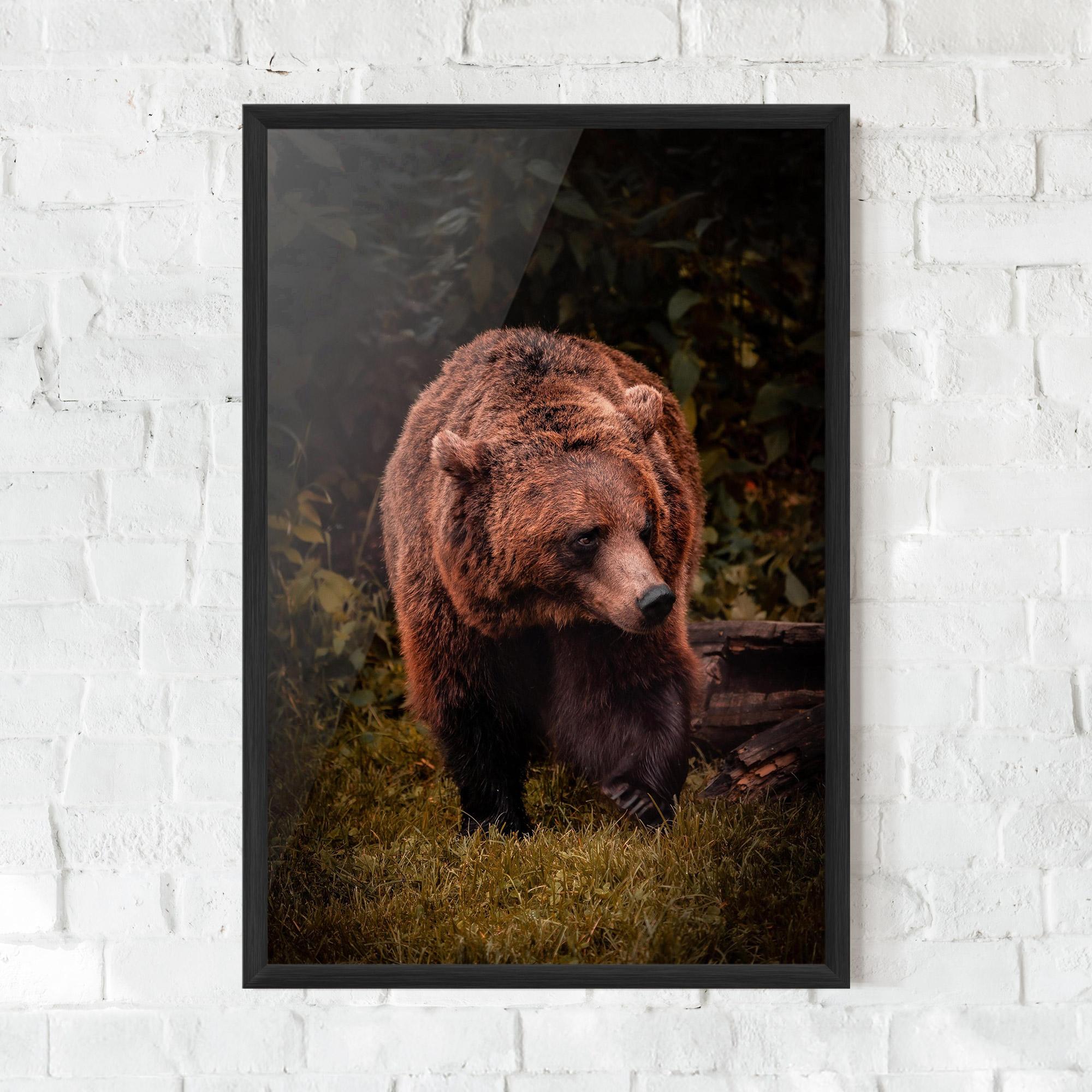 Keretezett Poszter Brown Bear mockup 0