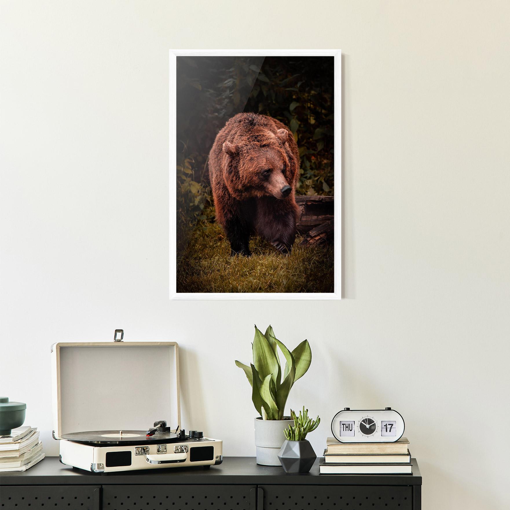 Keretezett Poszter Brown Bear mockup 2