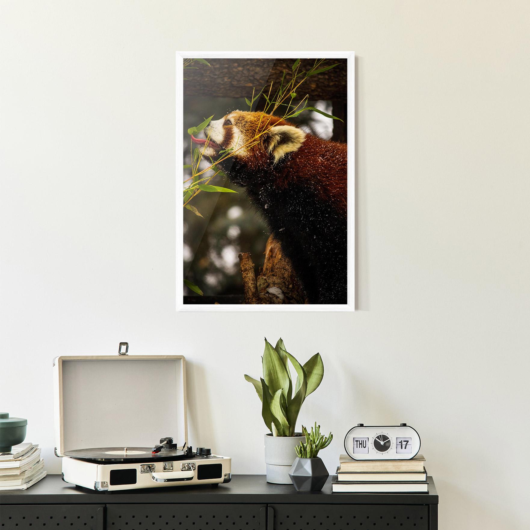 Keretezett Poszter Red Panda mockup 2