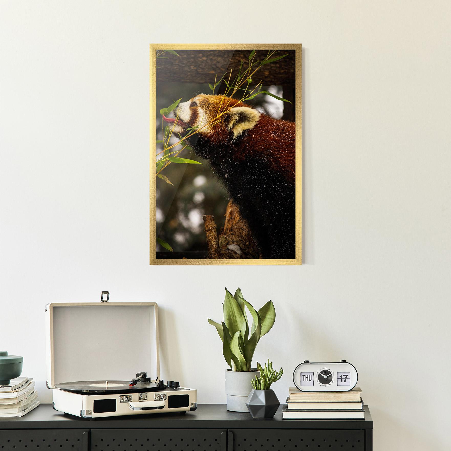 Keretezett Poszter Red Panda mockup 2