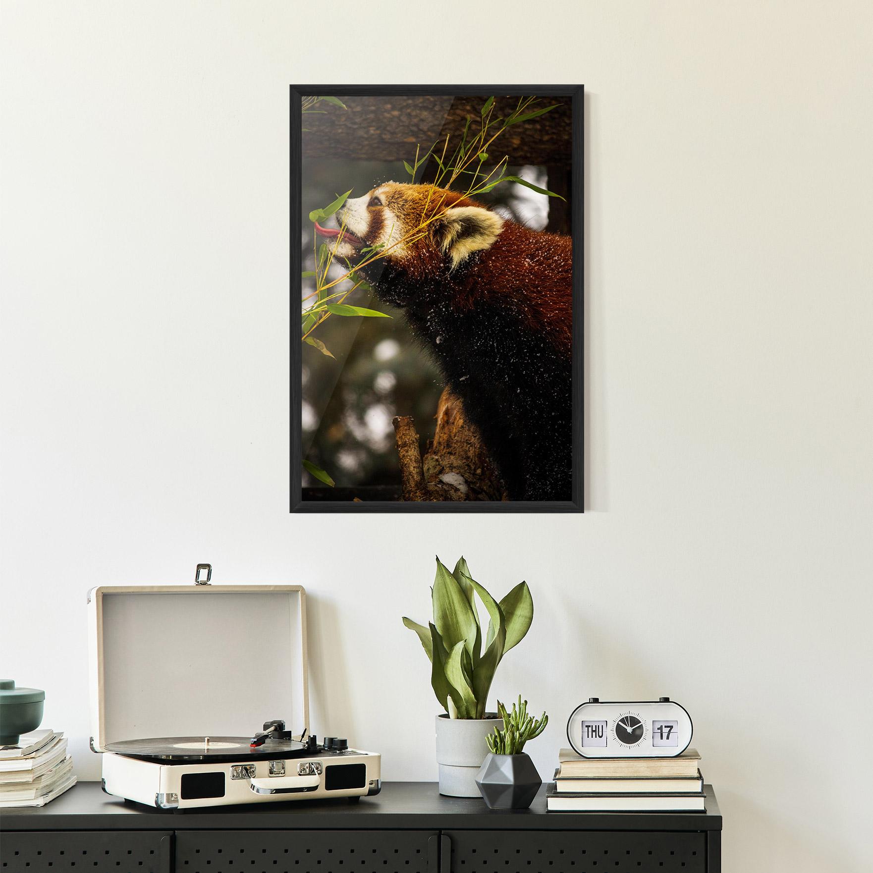 Keretezett Poszter Red Panda mockup 2