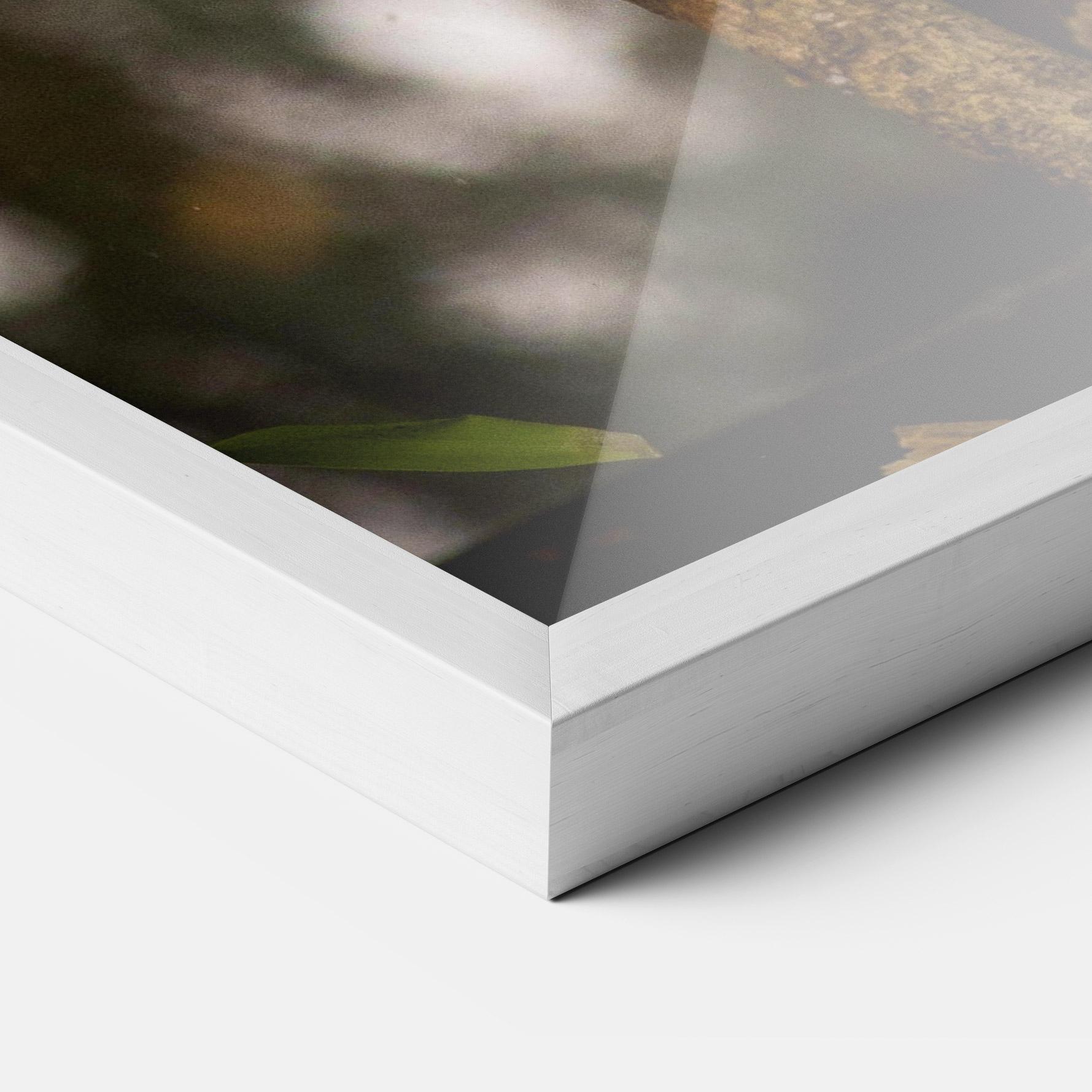 Keretezett Poszter Red Panda mockup 3