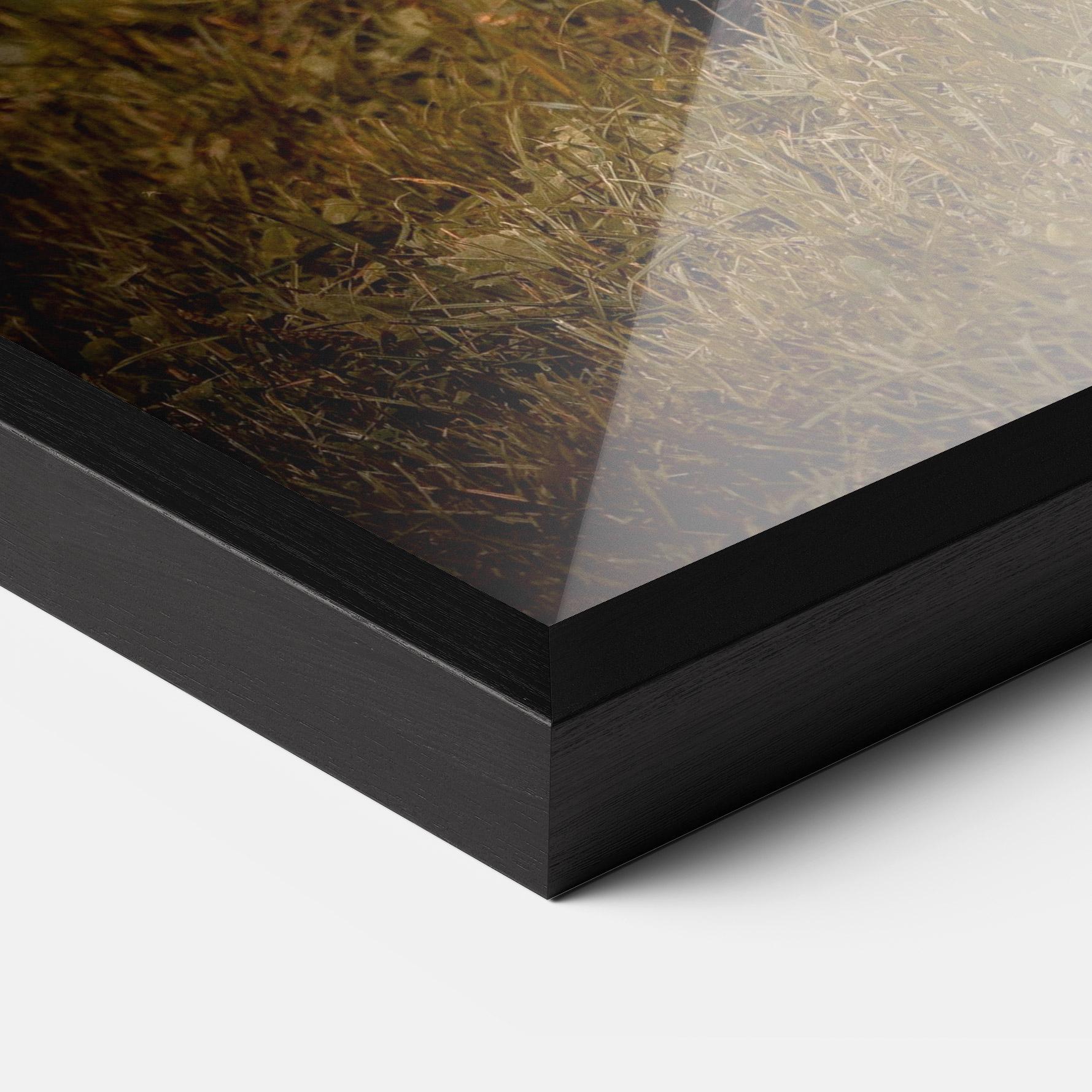 Keretezett Poszter Brown Bear mockup 3