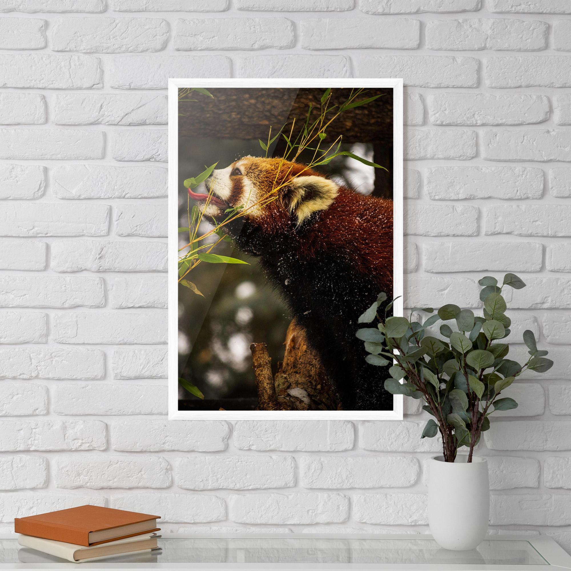Keretezett Poszter Red Panda mockup 5