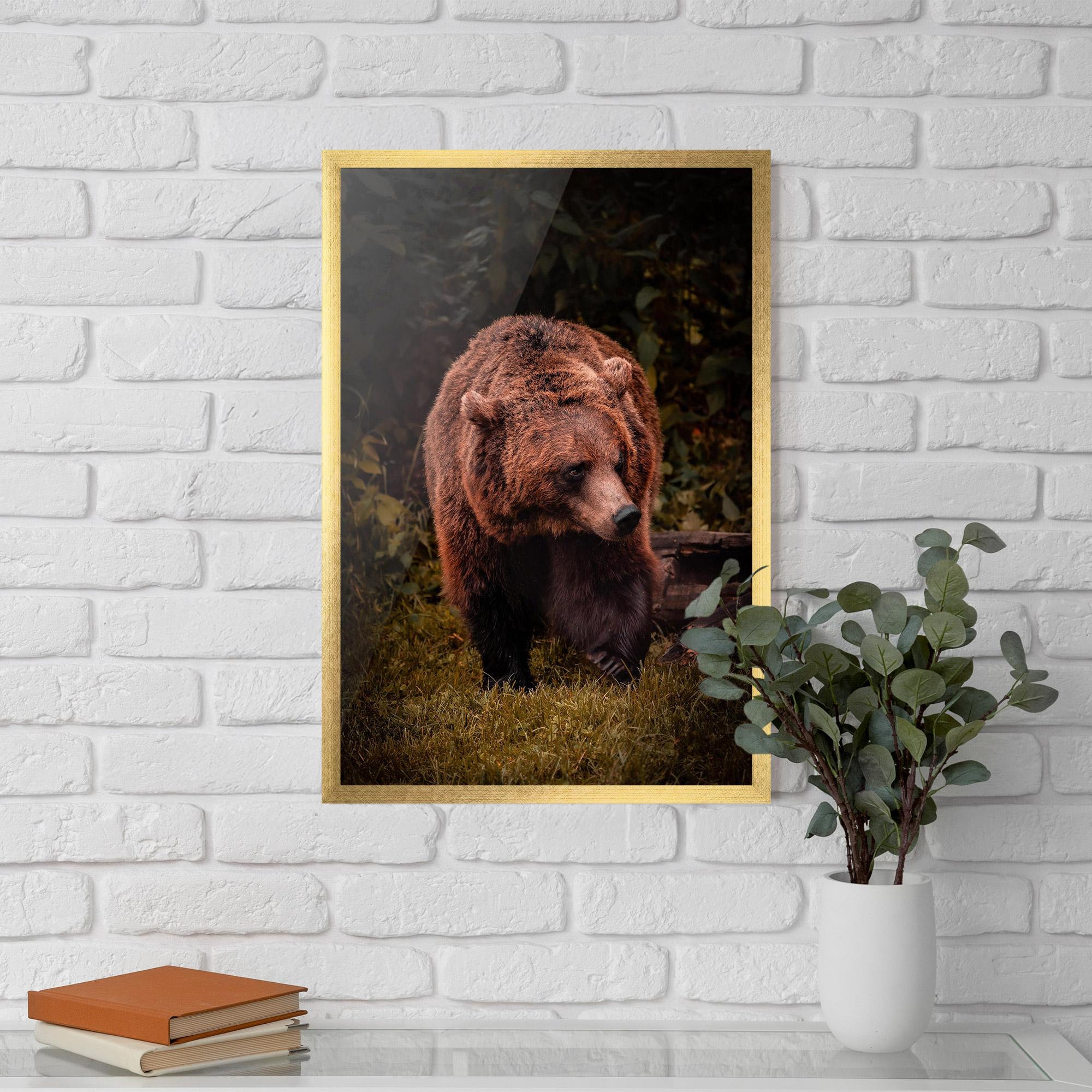 Keretezett Poszter Brown Bear mockup 5