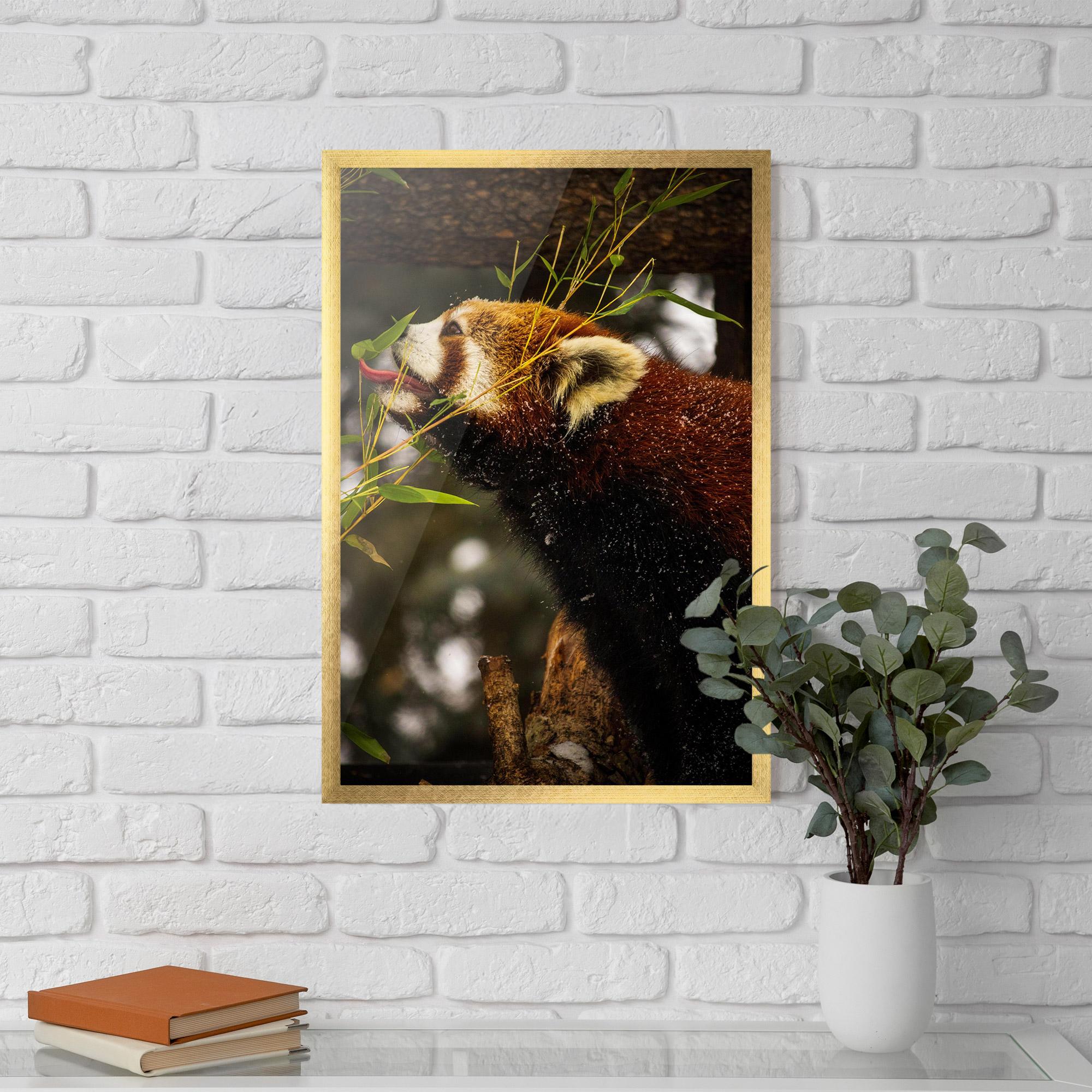 Keretezett Poszter Red Panda mockup 5