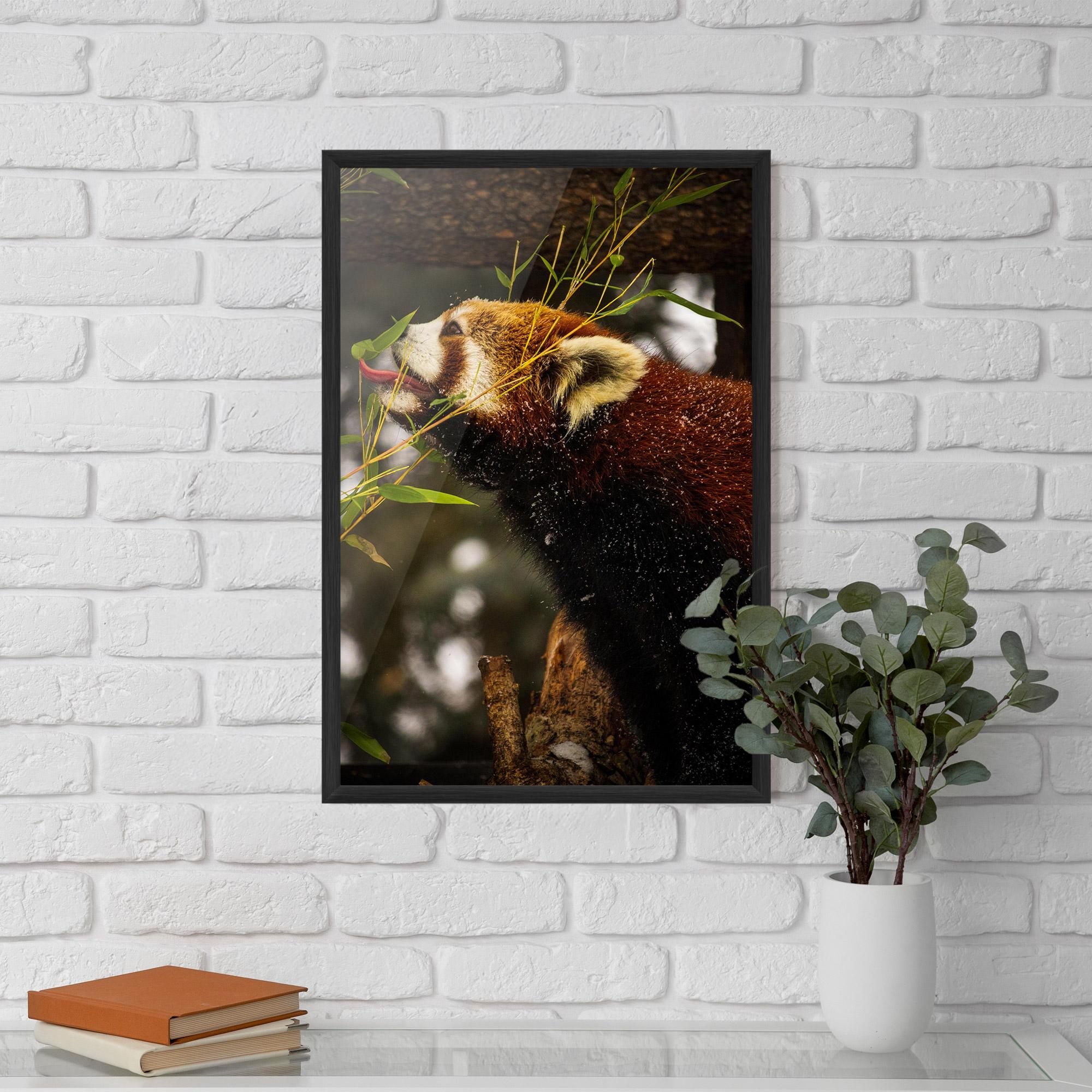 Keretezett Poszter Red Panda mockup 5