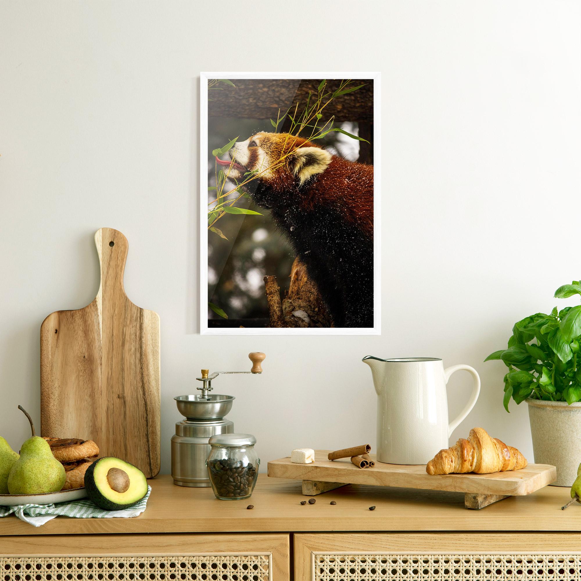 Keretezett Poszter Red Panda mockup 8