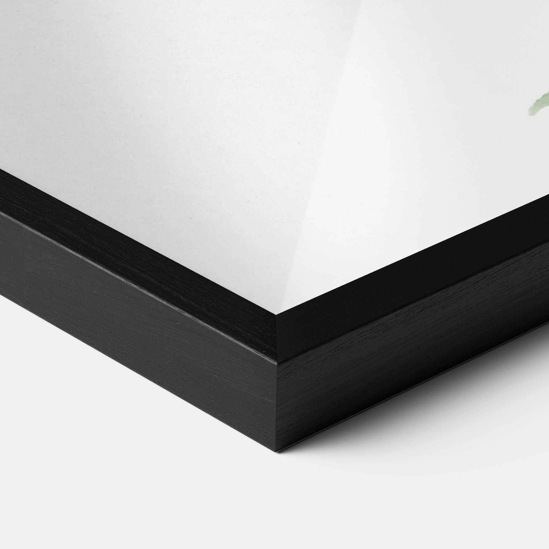 Lenes Somnoros mockup 3