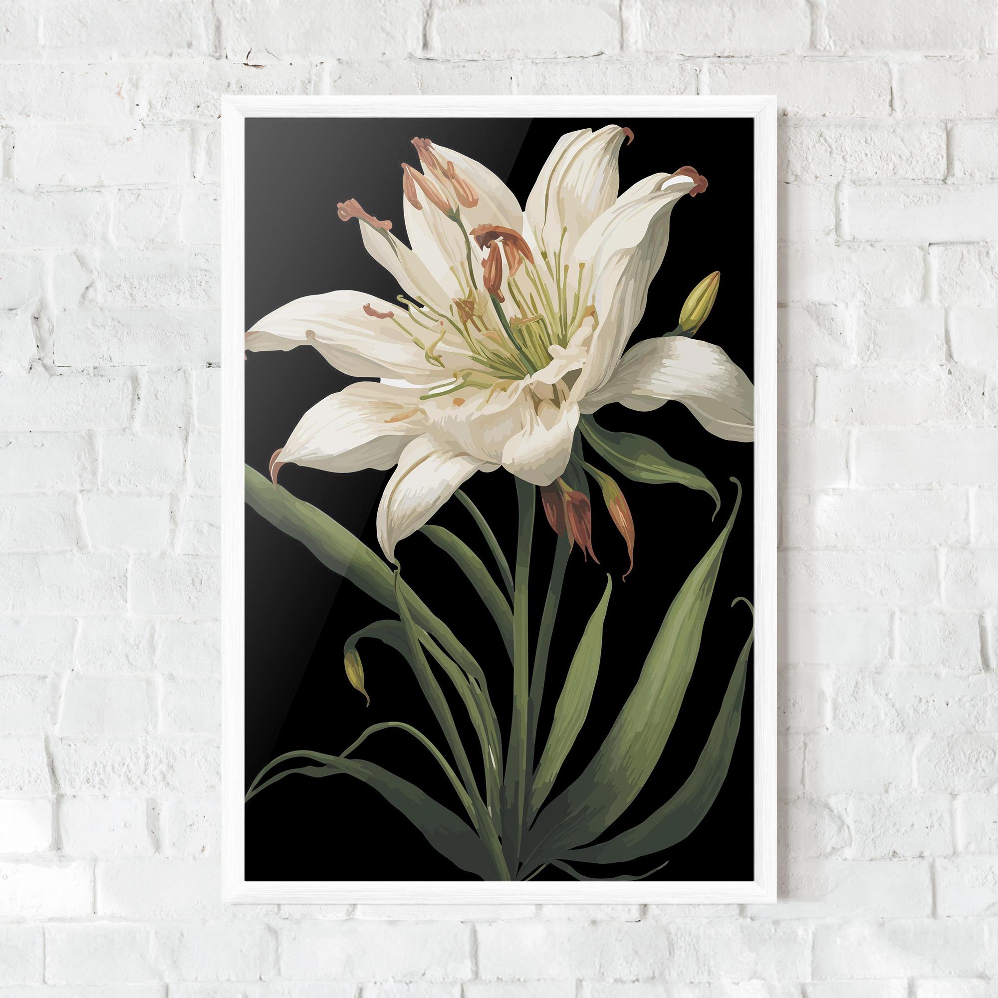 Keretezett Poszter Columbia White Lily mockup 0