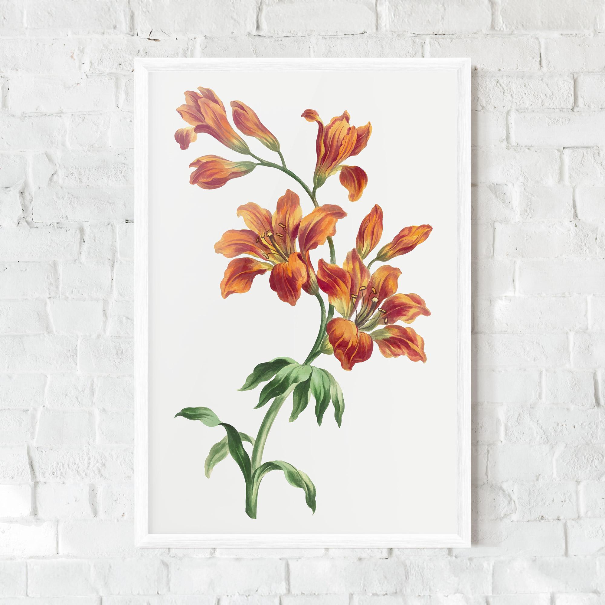 Keretezett Poszter Orange Painted Lily mockup 0