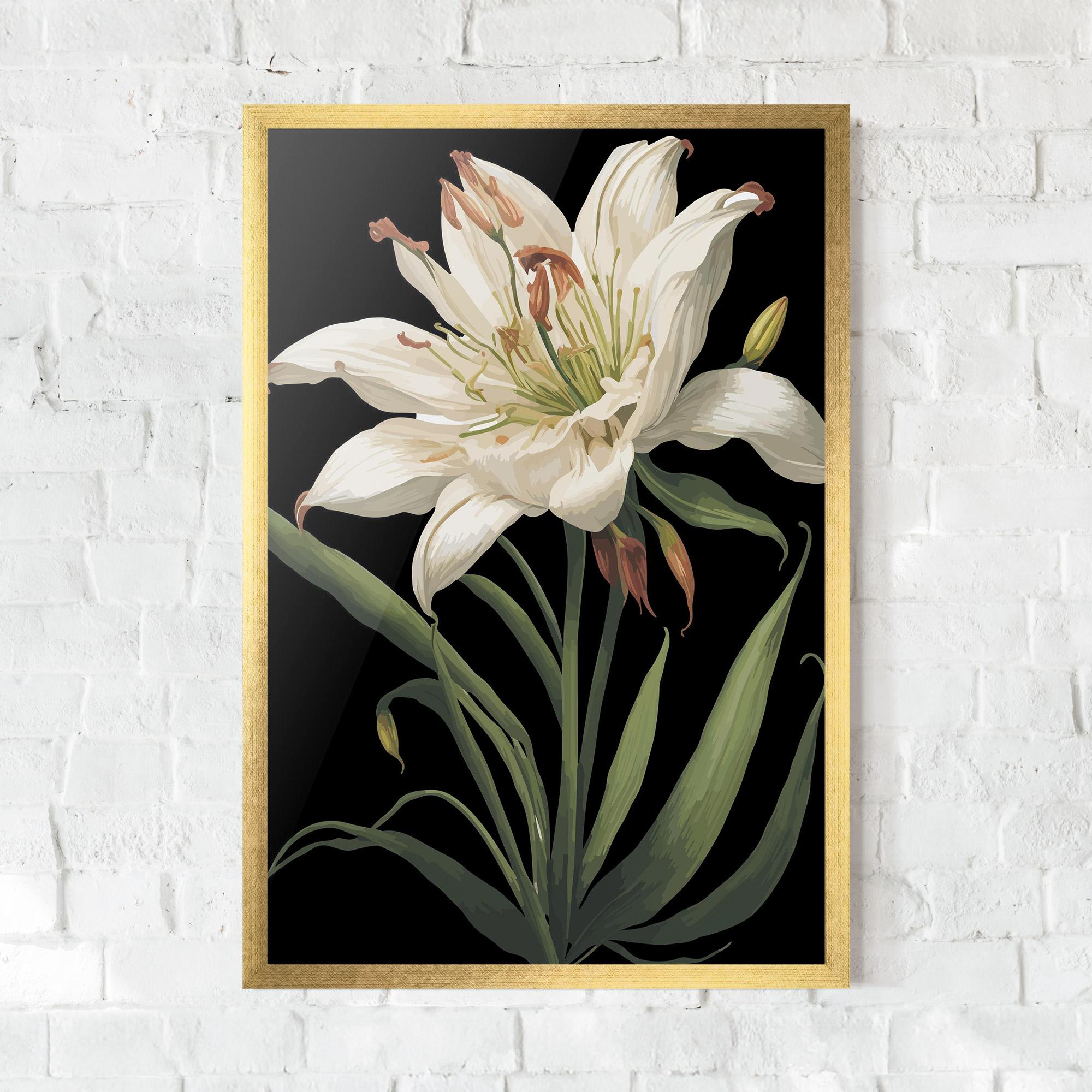 Keretezett Poszter Columbia White Lily mockup 0