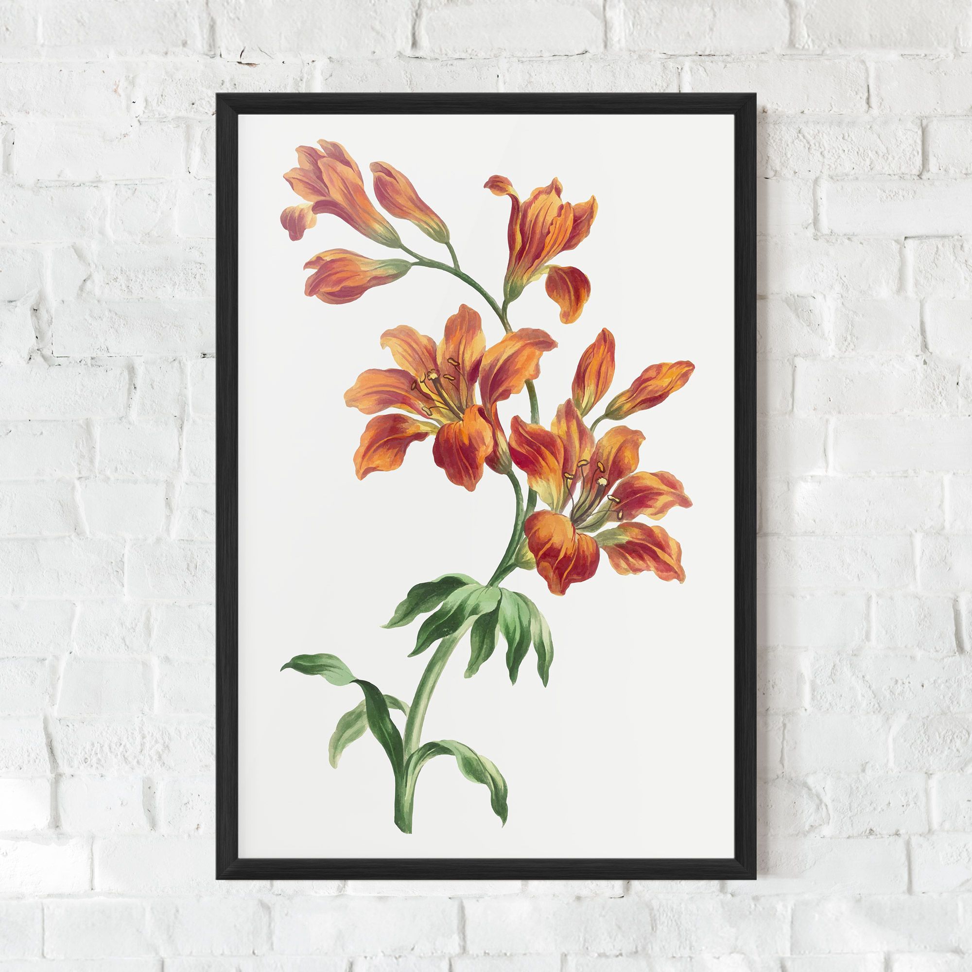Orange Painted Lily mockup 0
