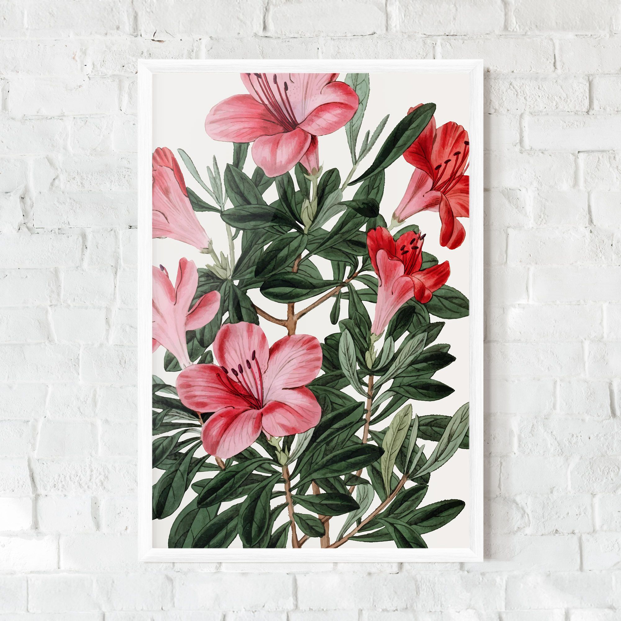 Pink Exotic Red mockup 0