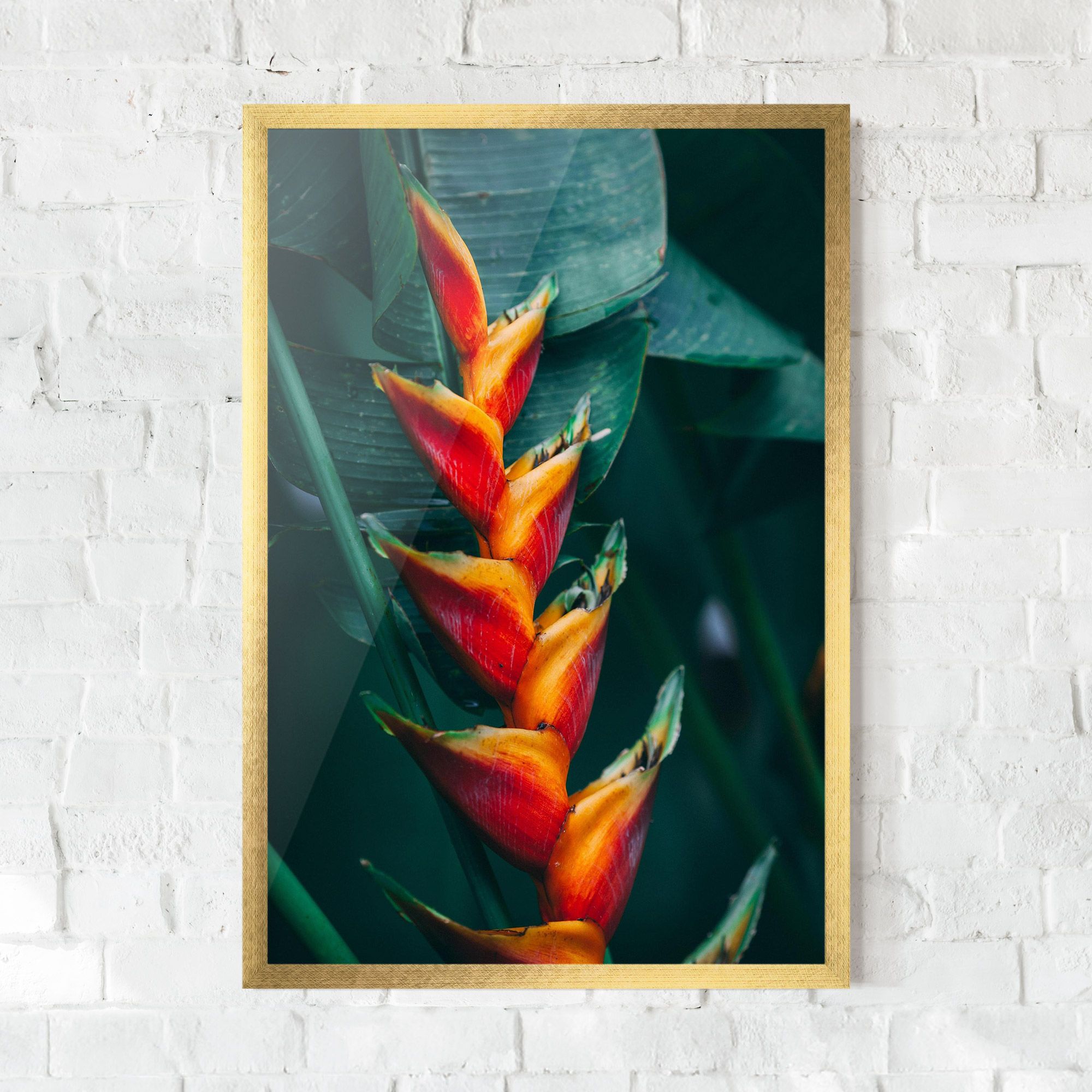 Red Orange Exotic mockup 0