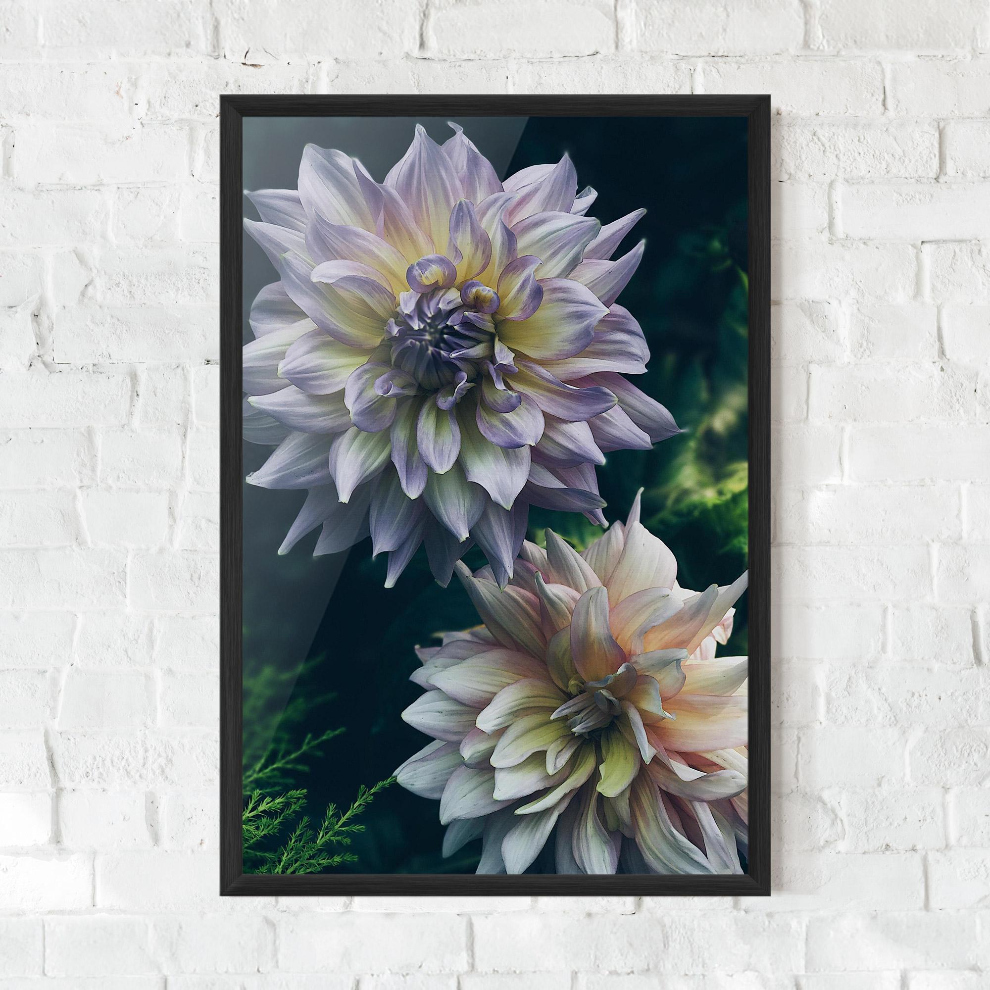 Keretezett Poszter Dahlia Flowers mockup 0