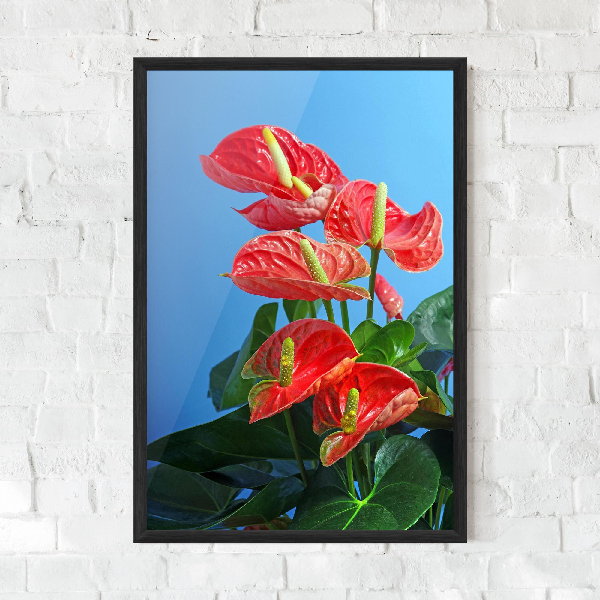 Keretezett Poszter Red Green Exotic mockup 0