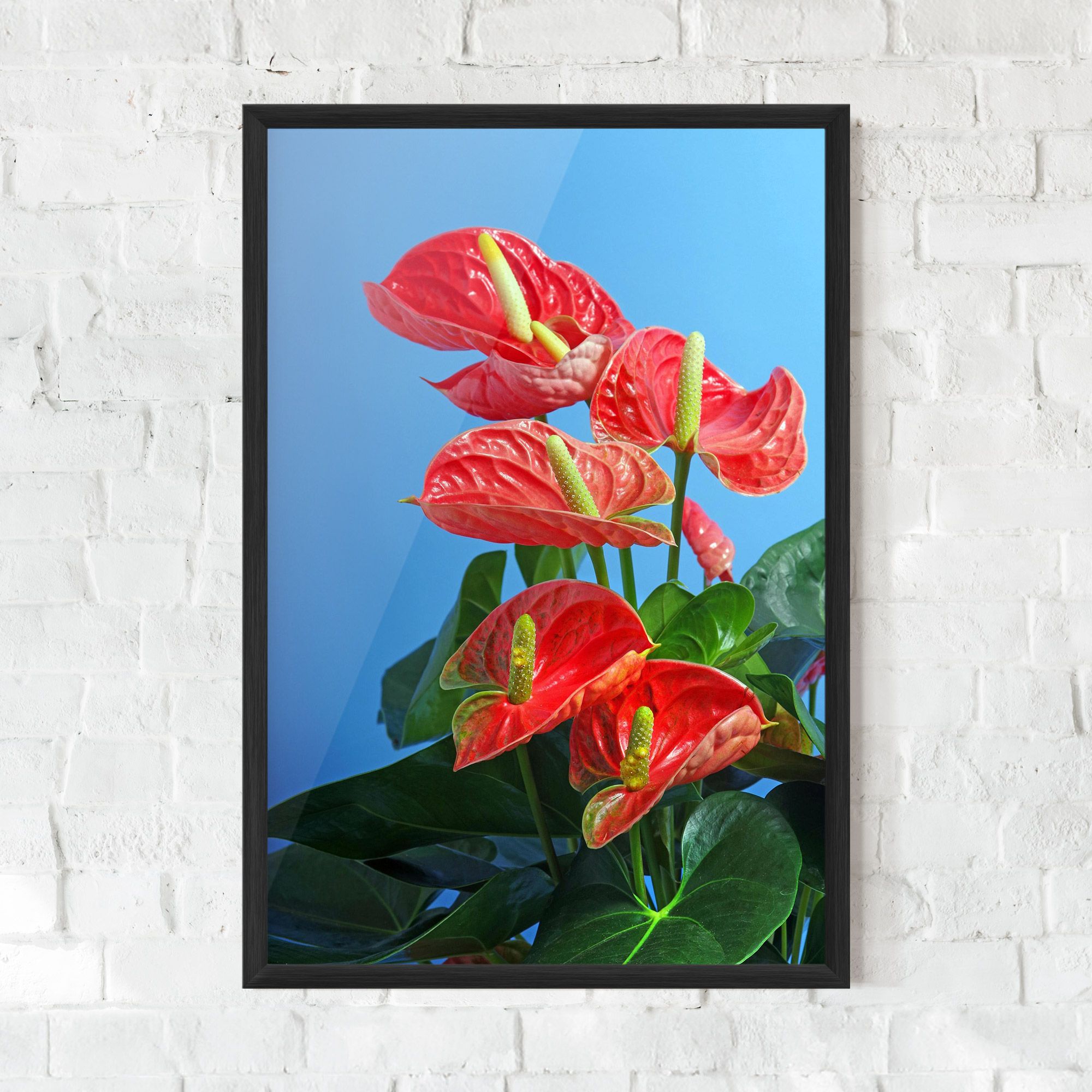 Red Green Exotic mockup 0