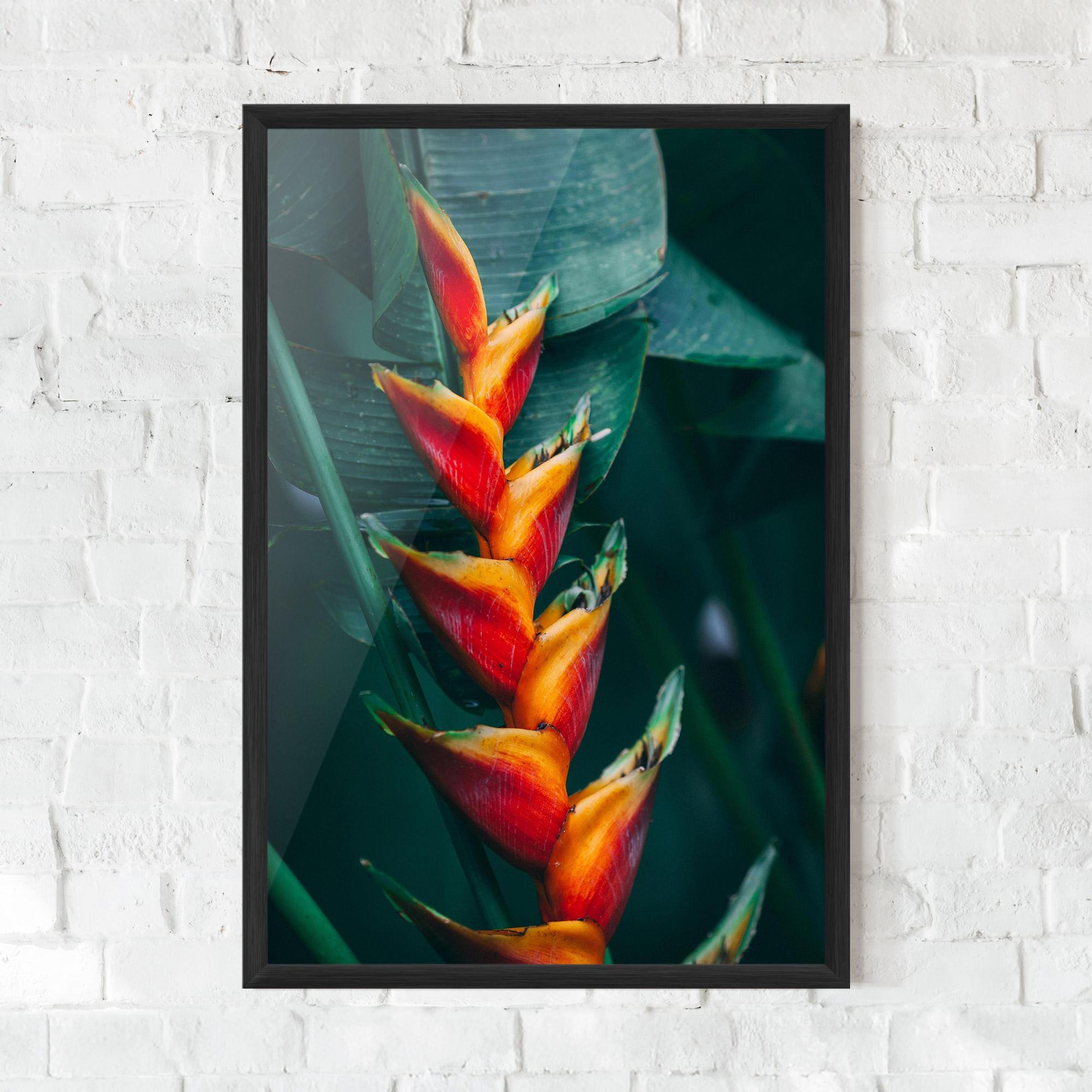 Keretezett Poszter Red Orange Exotic mockup 0