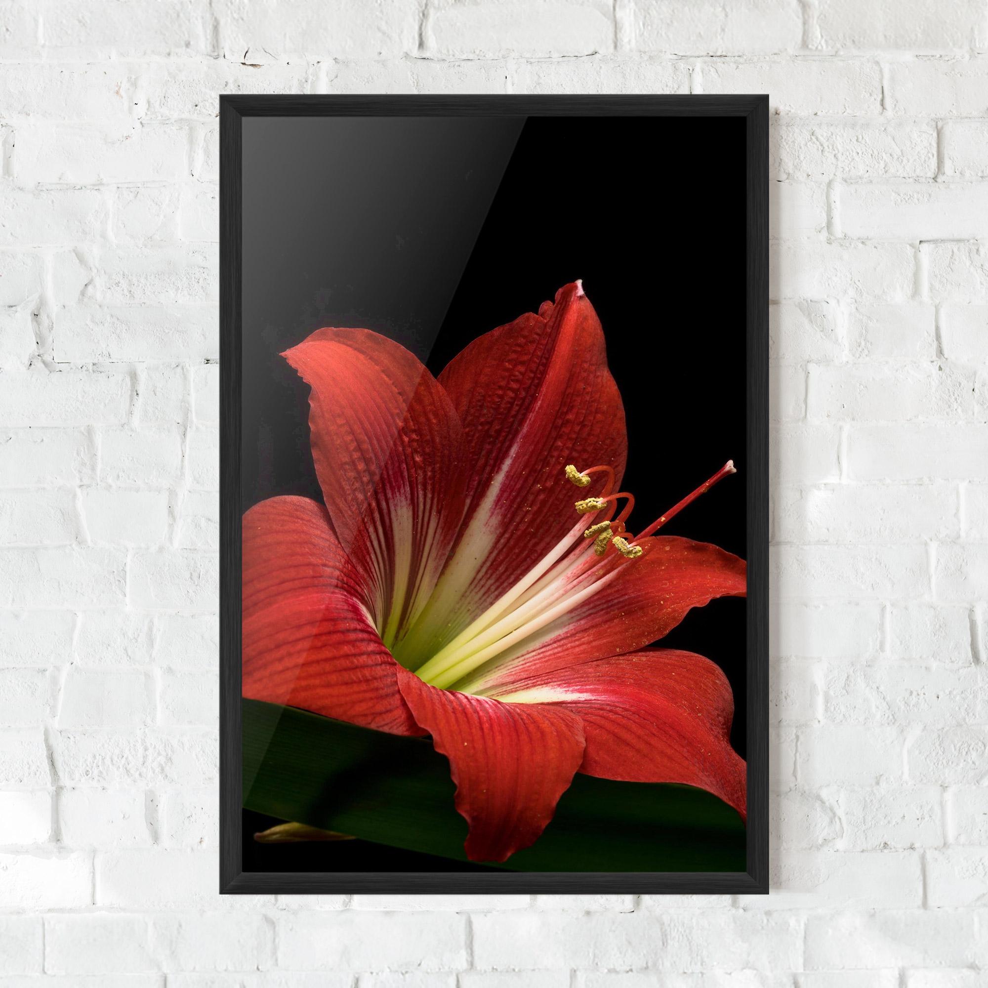 Keretezett Poszter Red Yellow Exotic mockup 0