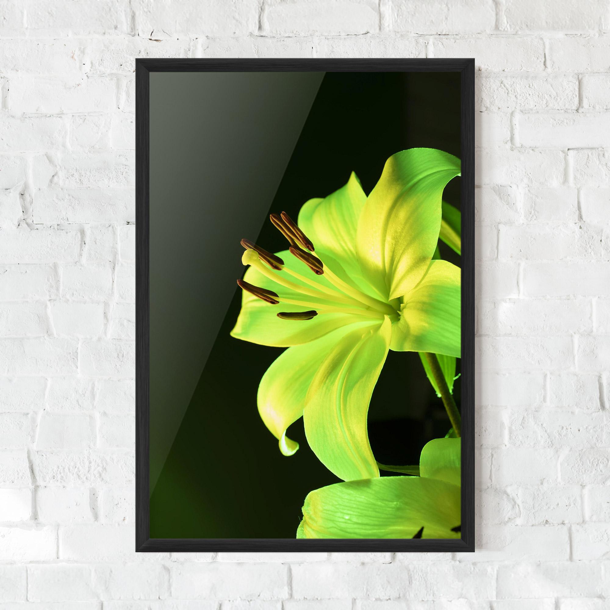 Keretezett Poszter Yellow Green Exotic mockup 0