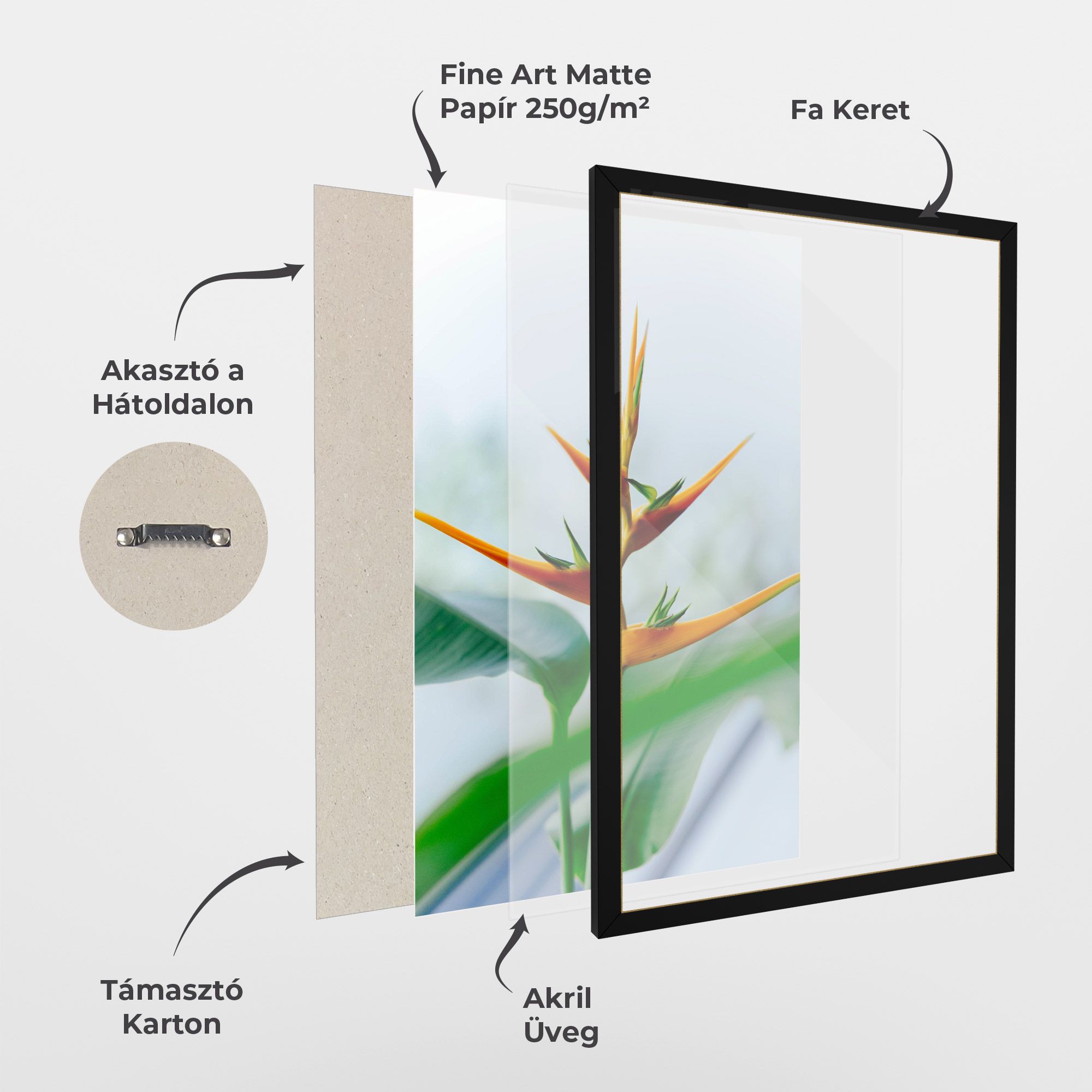 Exotic Orange Green mockup 1