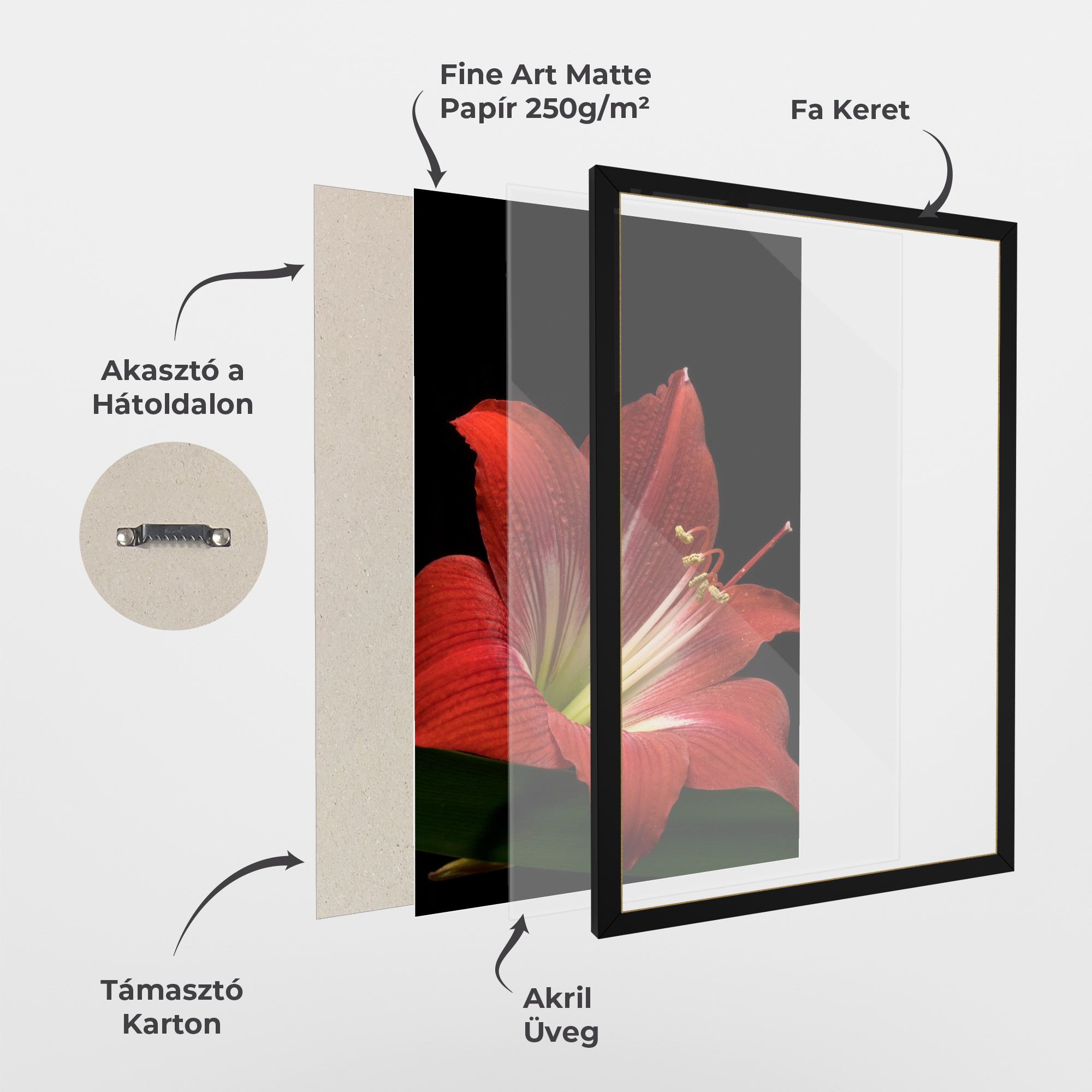 Red Yellow Exotic mockup 1