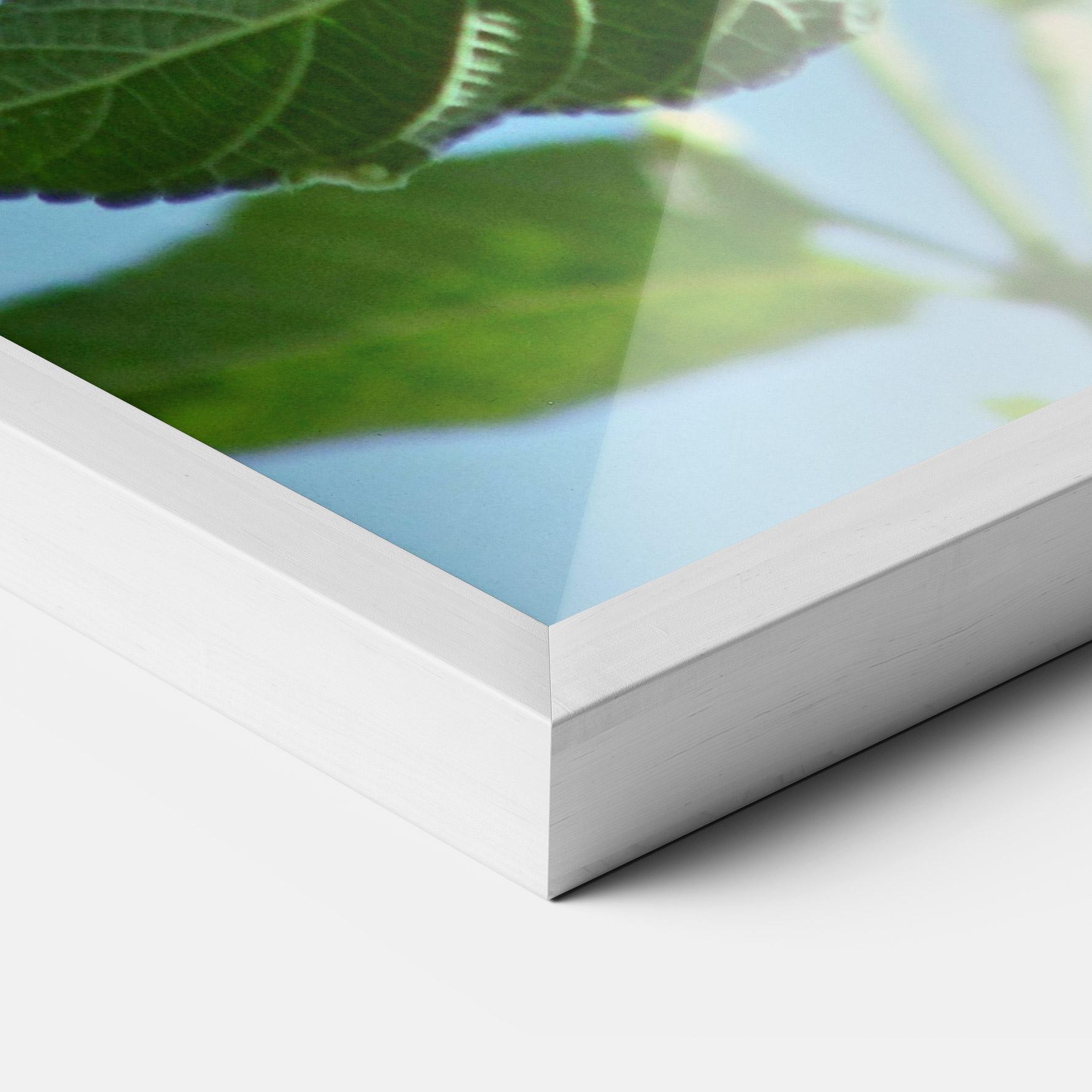 Keretezett Poszter Bird Exotic Flower mockup 3