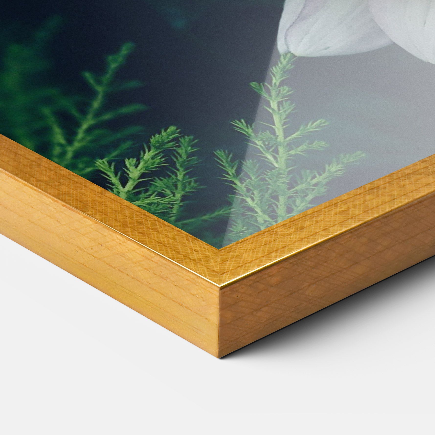 Dahlia Flowers mockup 3