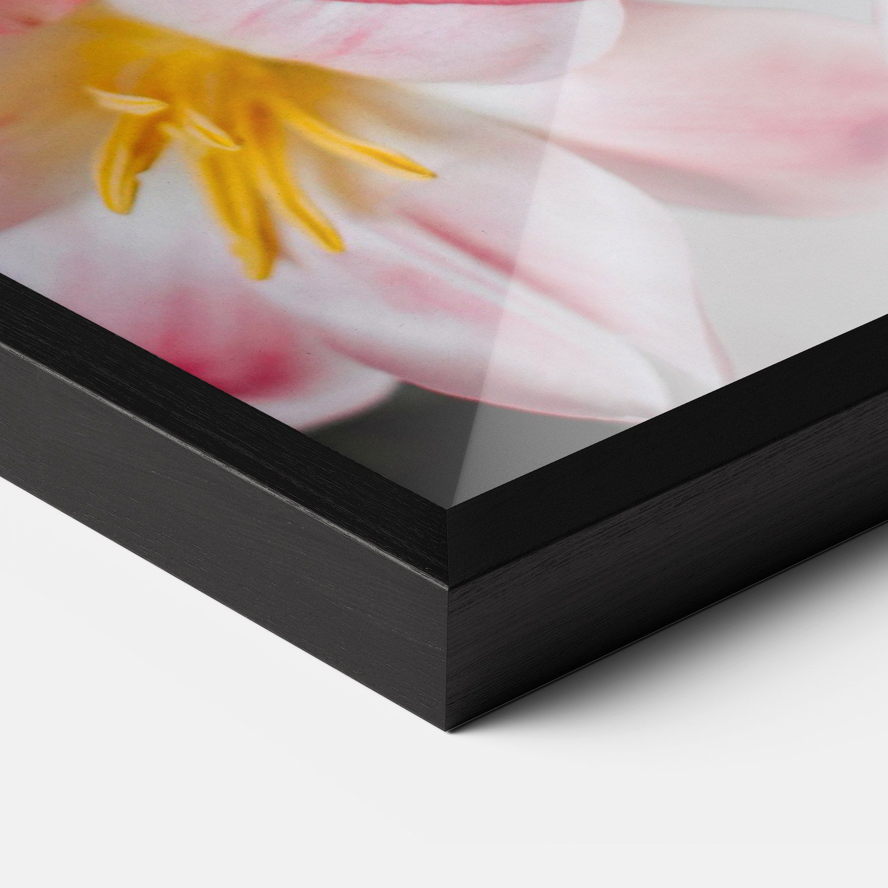 Beautiful Exotic Flower mockup 3