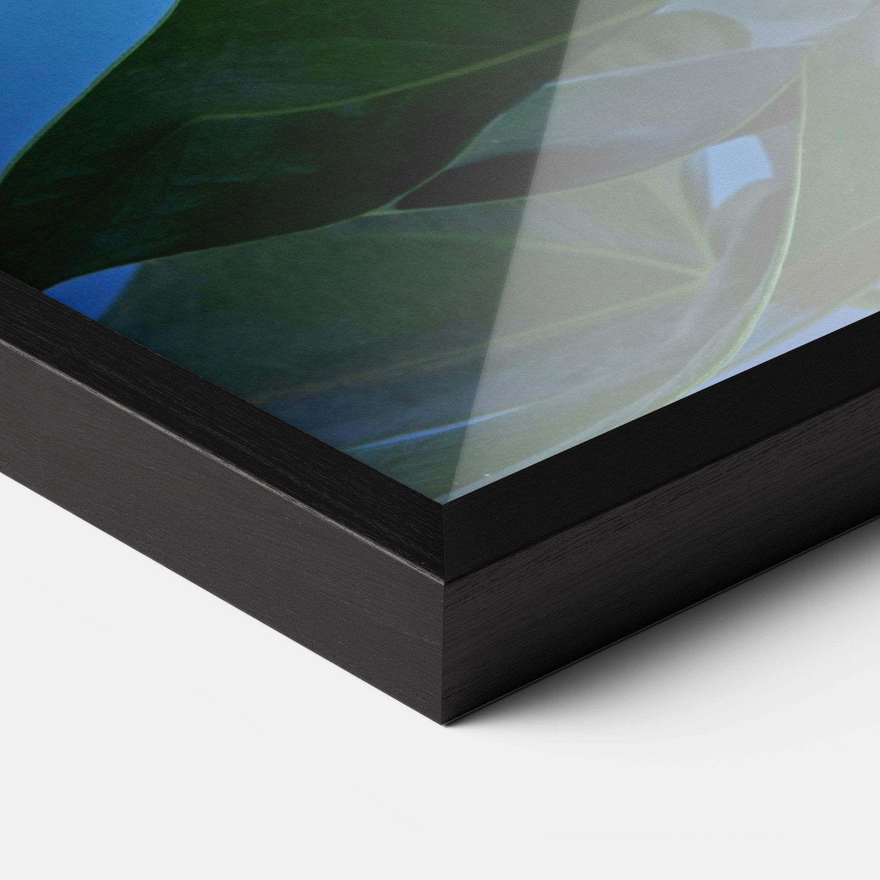 Red Green Exotic mockup 3