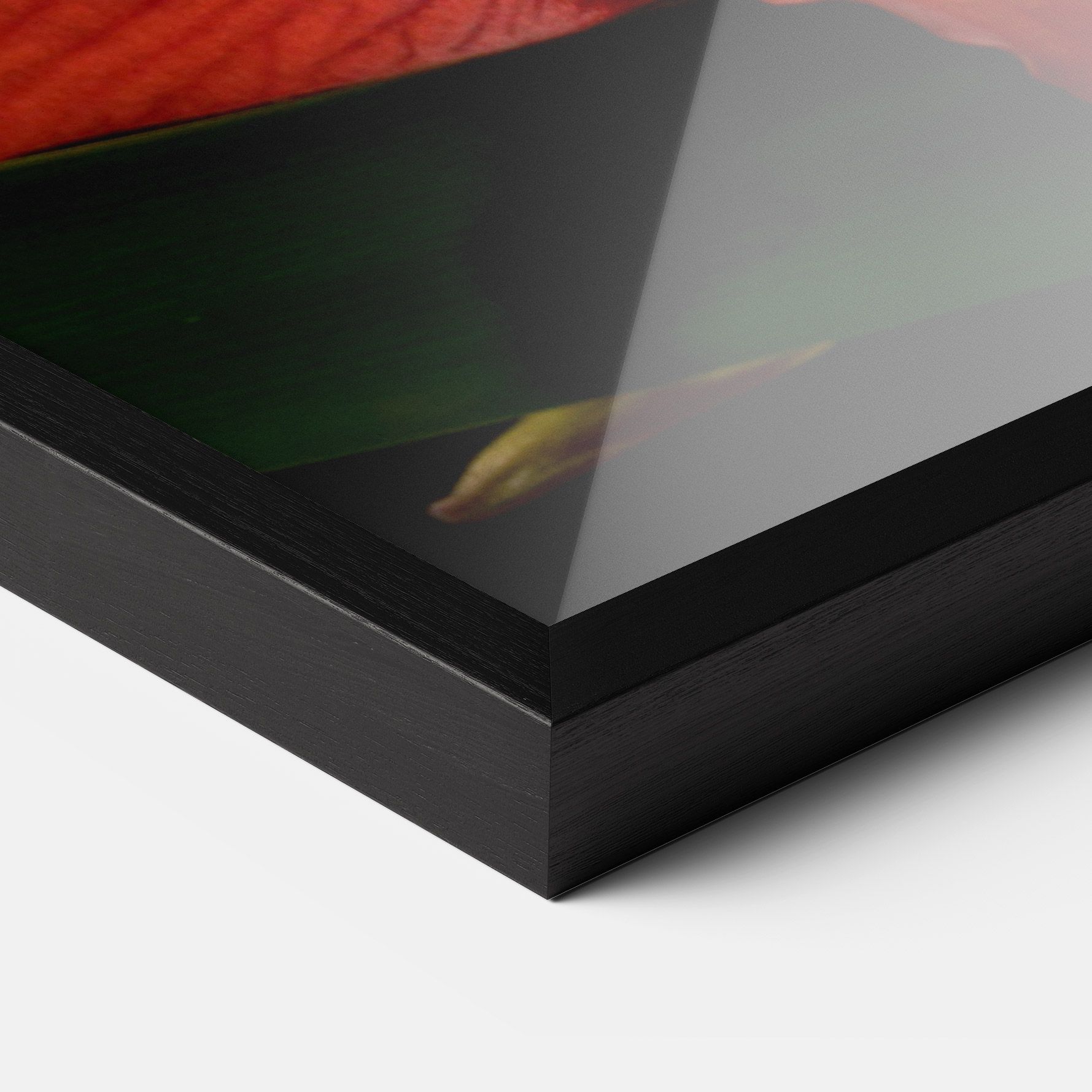 Red Yellow Exotic mockup 3