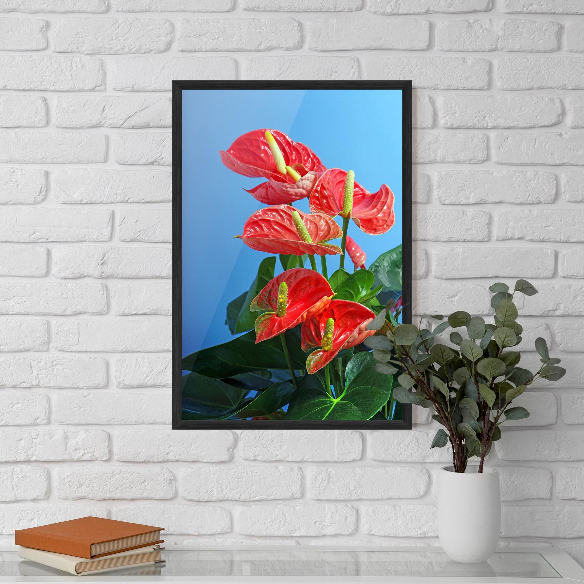 Keretezett Poszter Red Green Exotic mockup 5