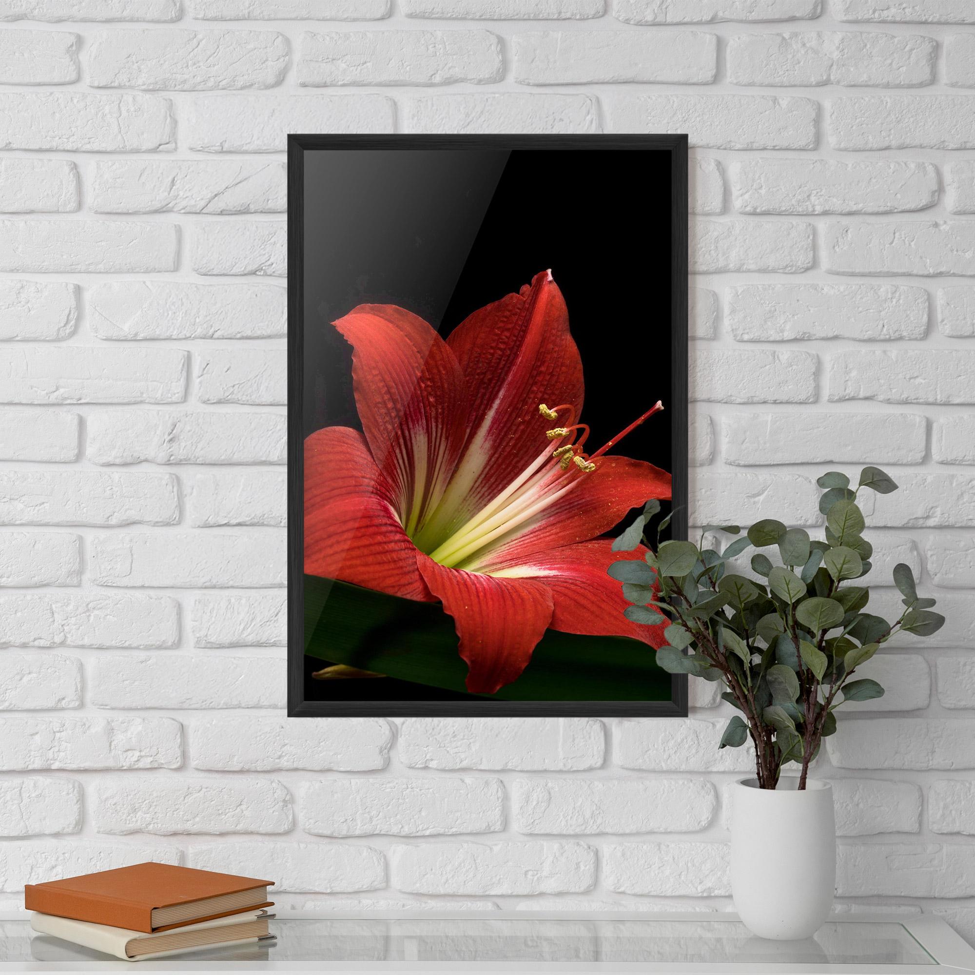 Keretezett Poszter Red Yellow Exotic mockup 5