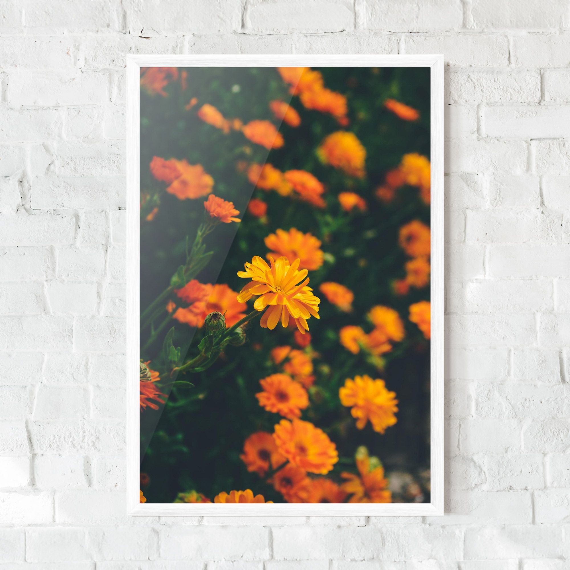 Garden Orange Flowers mockup 0