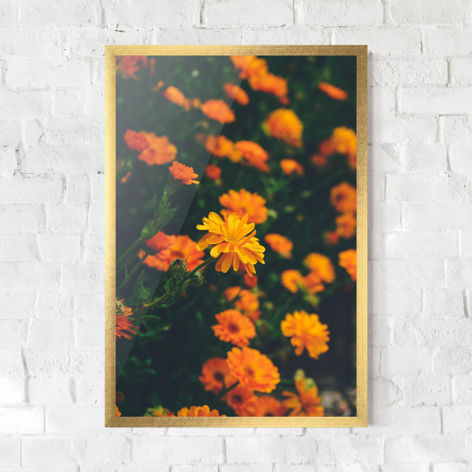Keretezett Poszter Garden Orange Flowers mockup 0