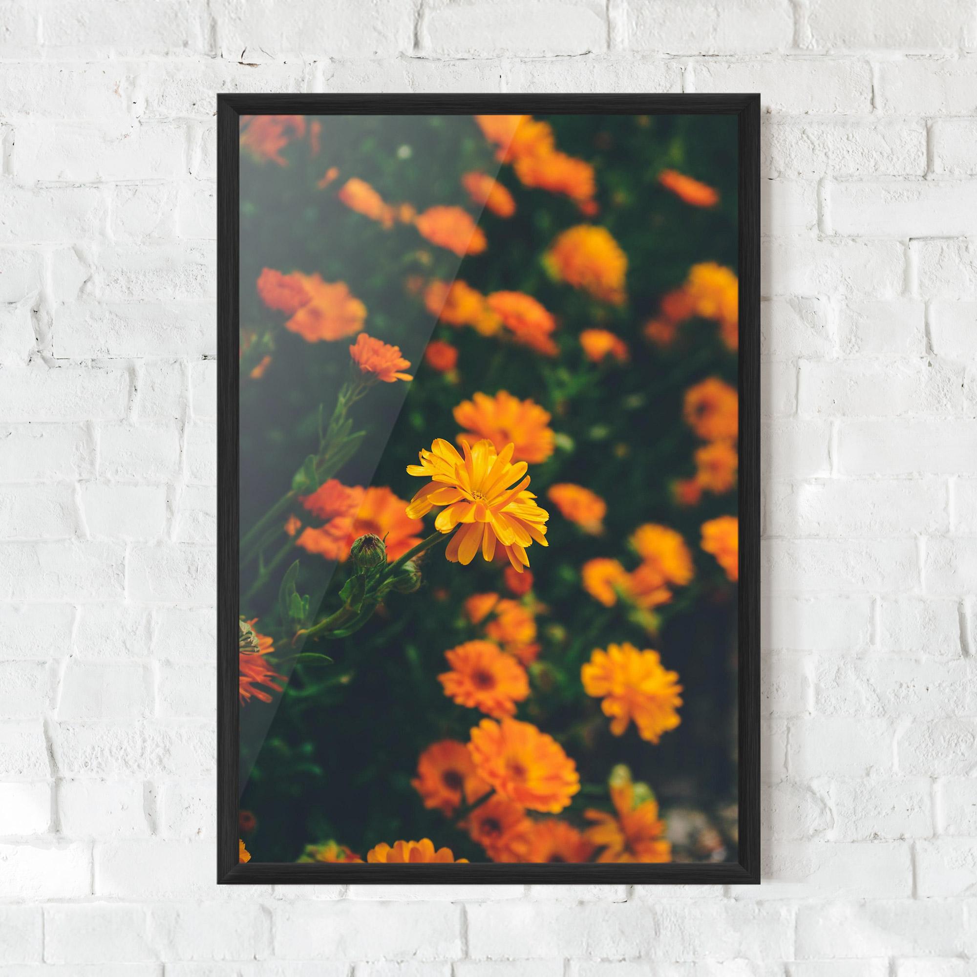 Keretezett Poszter Garden Orange Flowers mockup 0