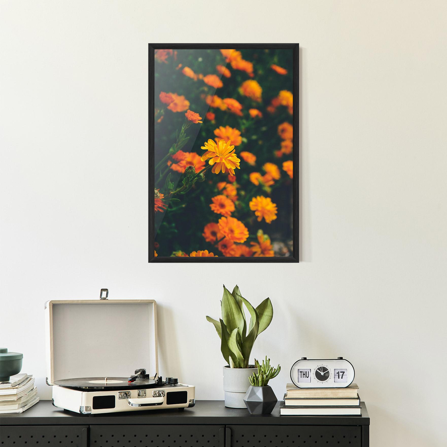 Keretezett Poszter Garden Orange Flowers mockup 2