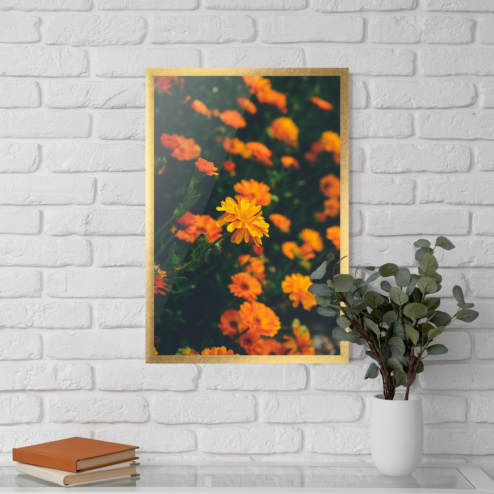 Keretezett Poszter Garden Orange Flowers mockup 5