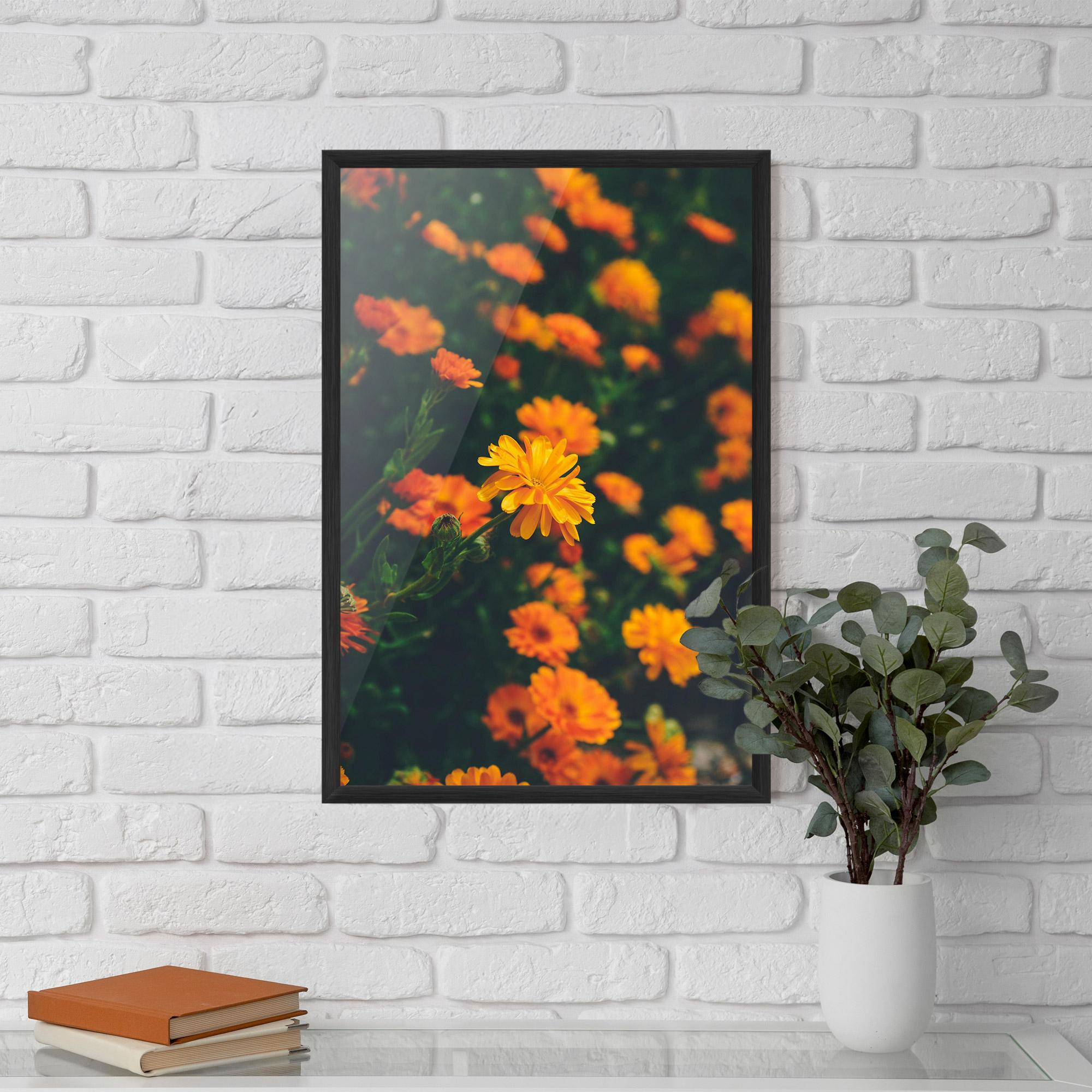 Keretezett Poszter Garden Orange Flowers mockup 5