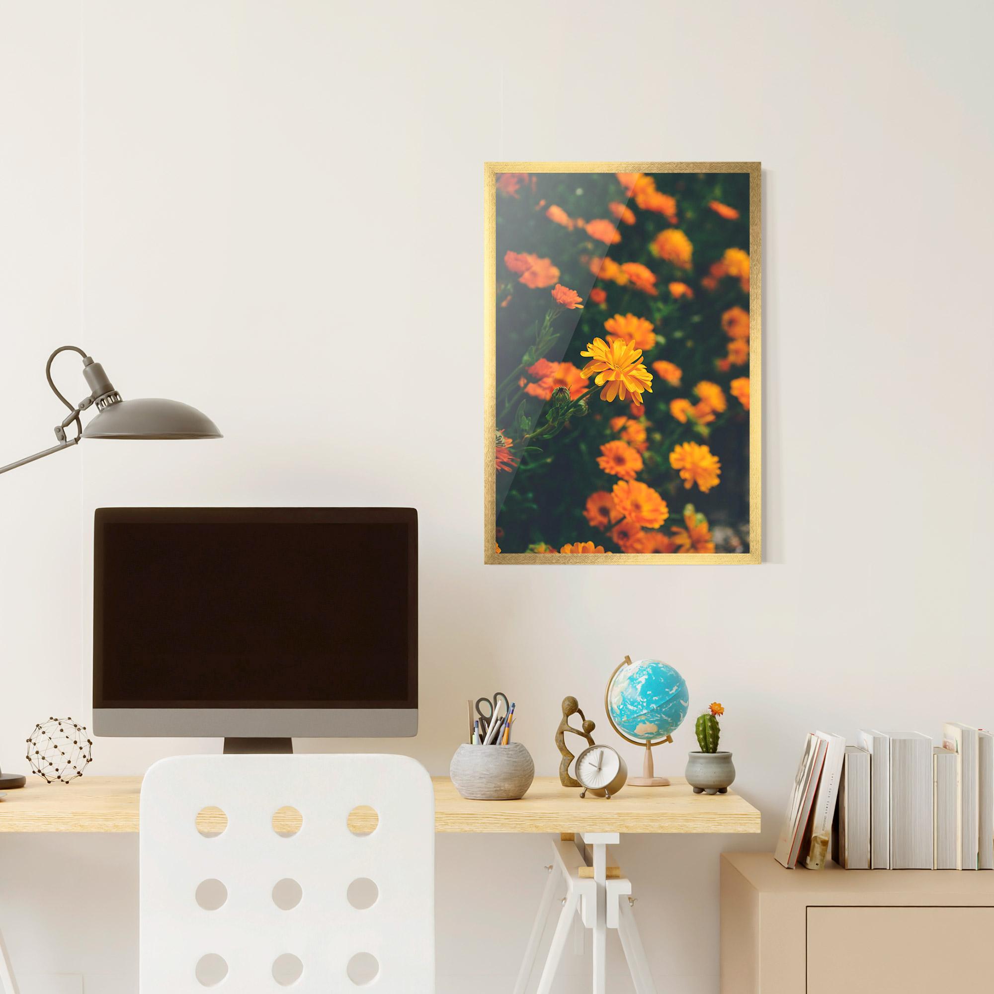 Keretezett Poszter Garden Orange Flowers mockup 6