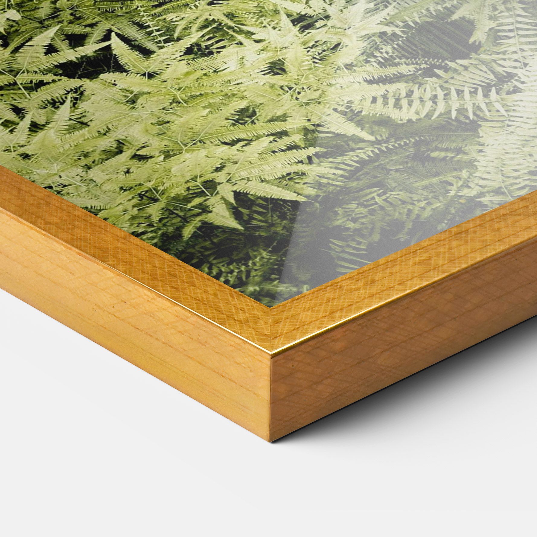 Into The Jungle mockup 3