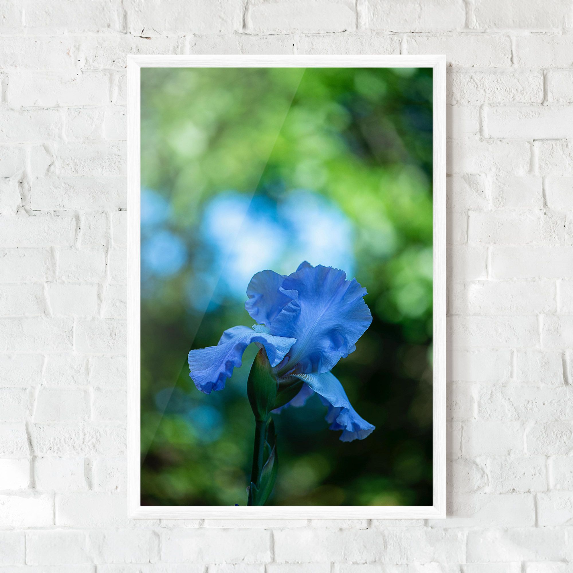 Blue Iris In The Garden mockup 0