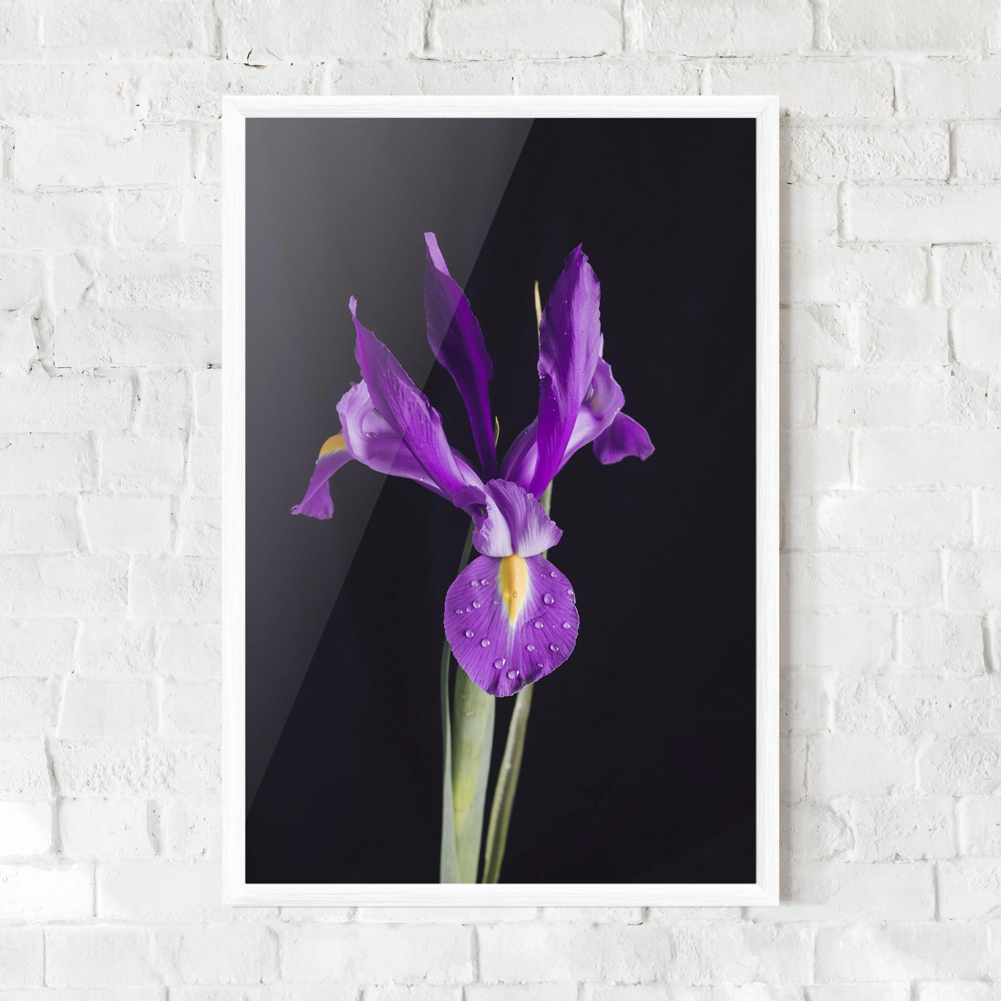 Keretezett Poszter Fresh Purple Iris mockup 0