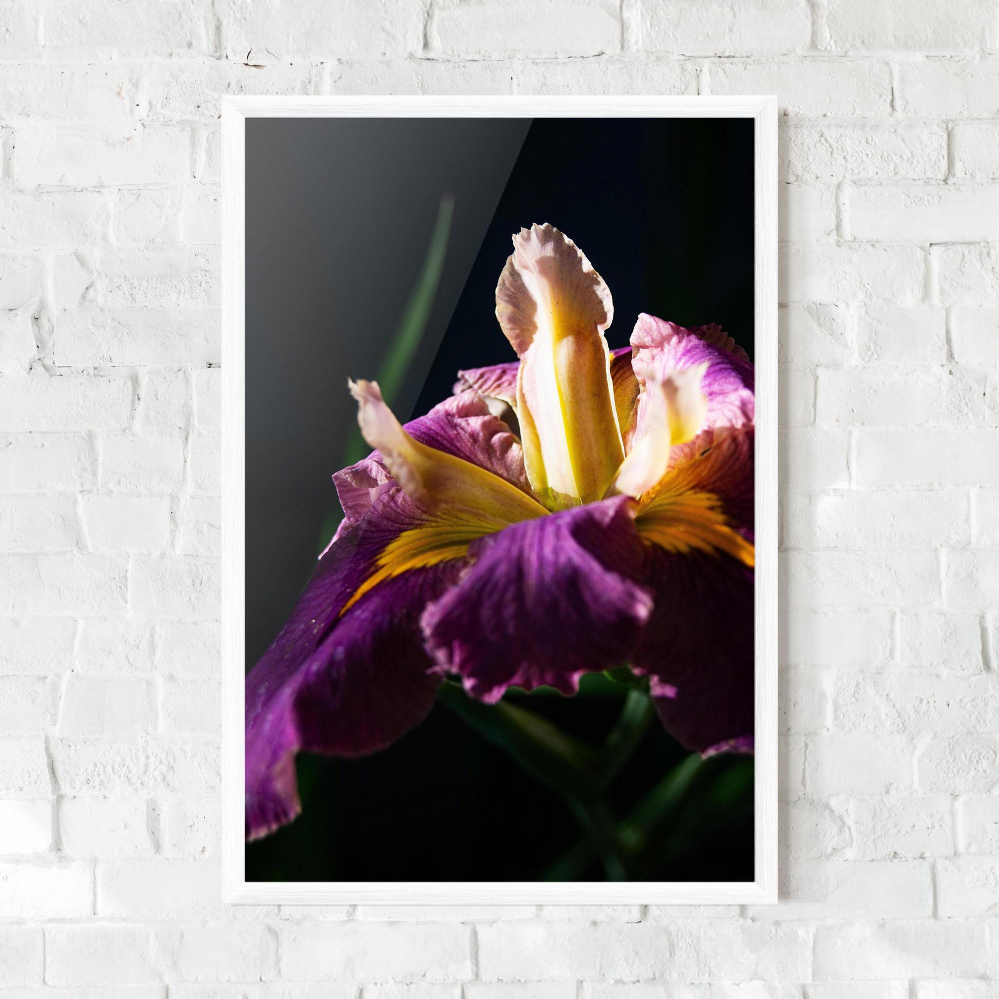 Keretezett Poszter Pastel Yellow Iris mockup 0