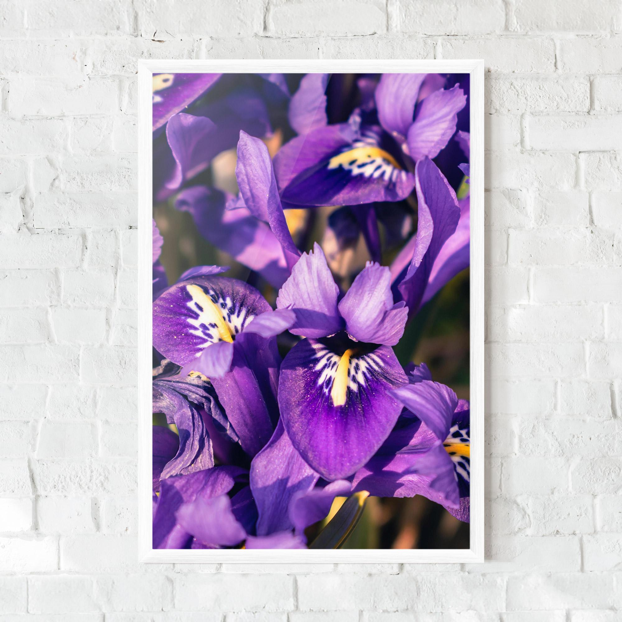 Keretezett Poszter Small Purple Iris mockup 0