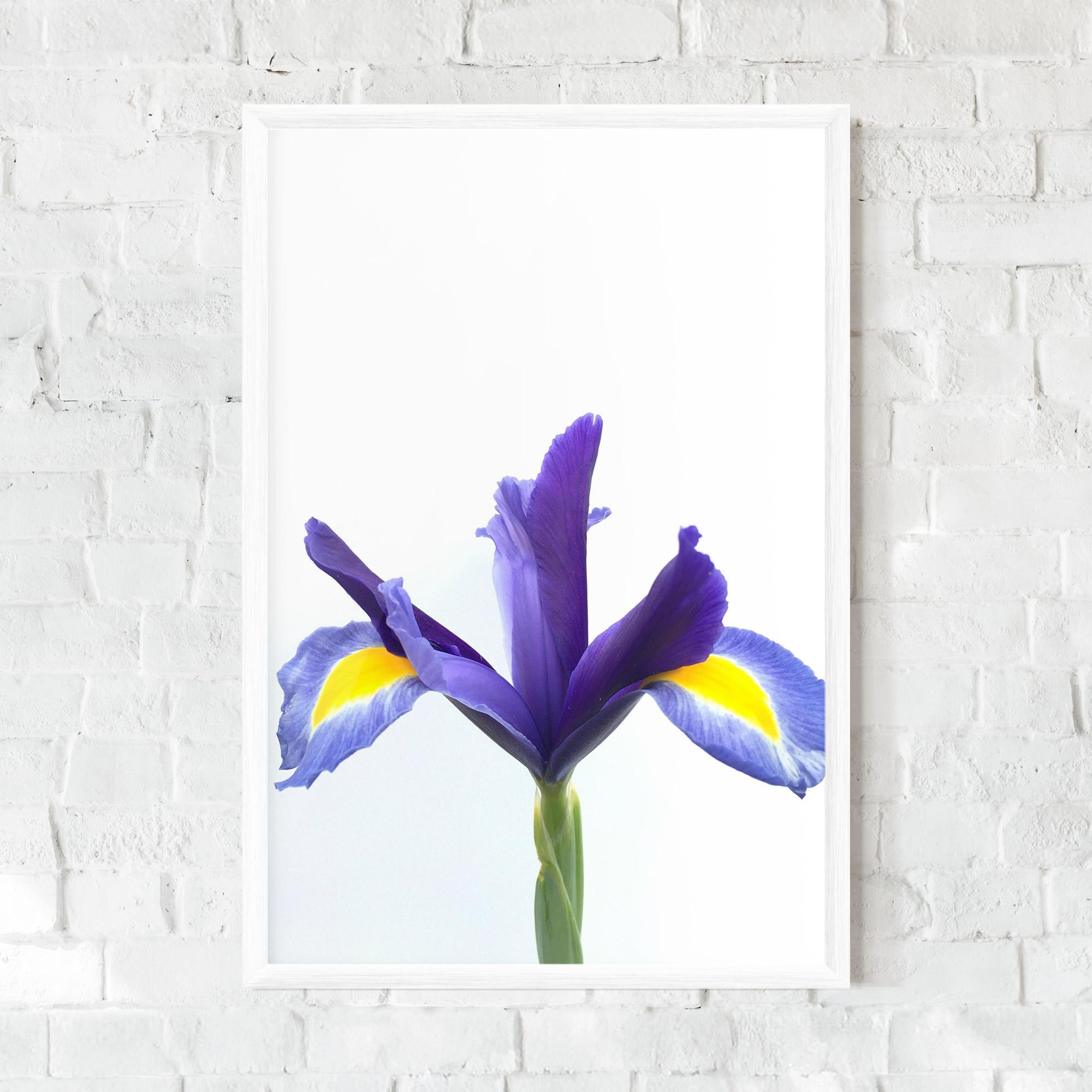 Keretezett Poszter Yellow Color Iris mockup 0