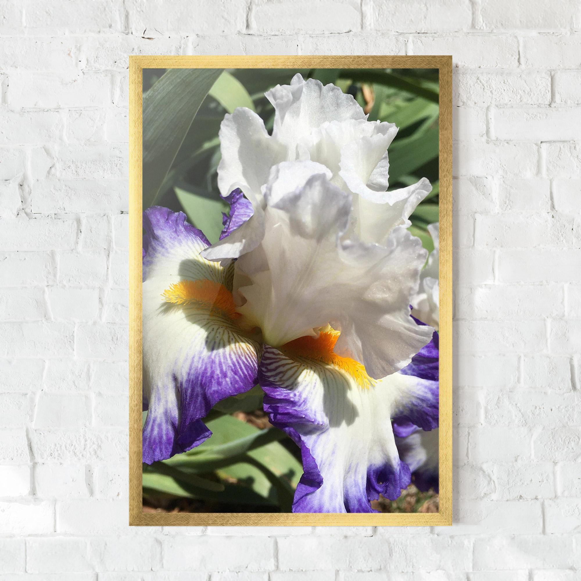 Keretezett Poszter Garden White Purple Irirs mockup 0